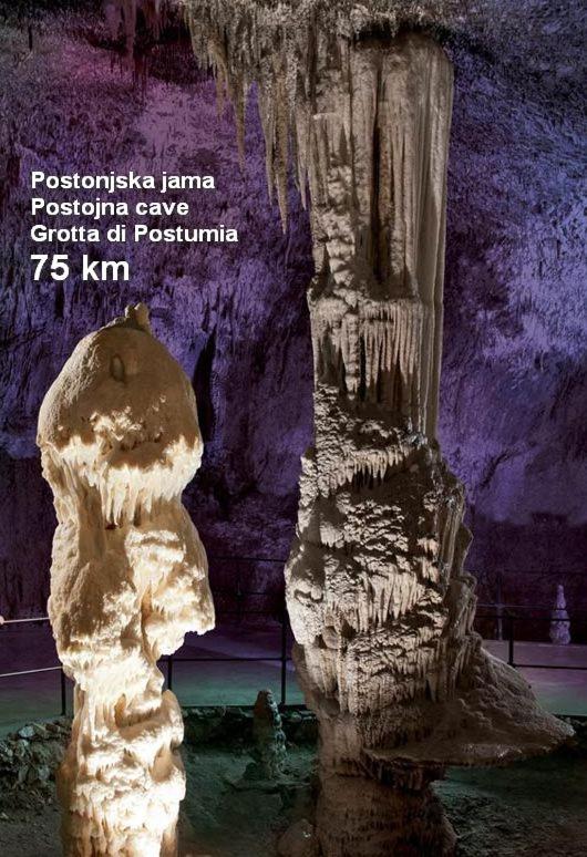 Apartma Veverin