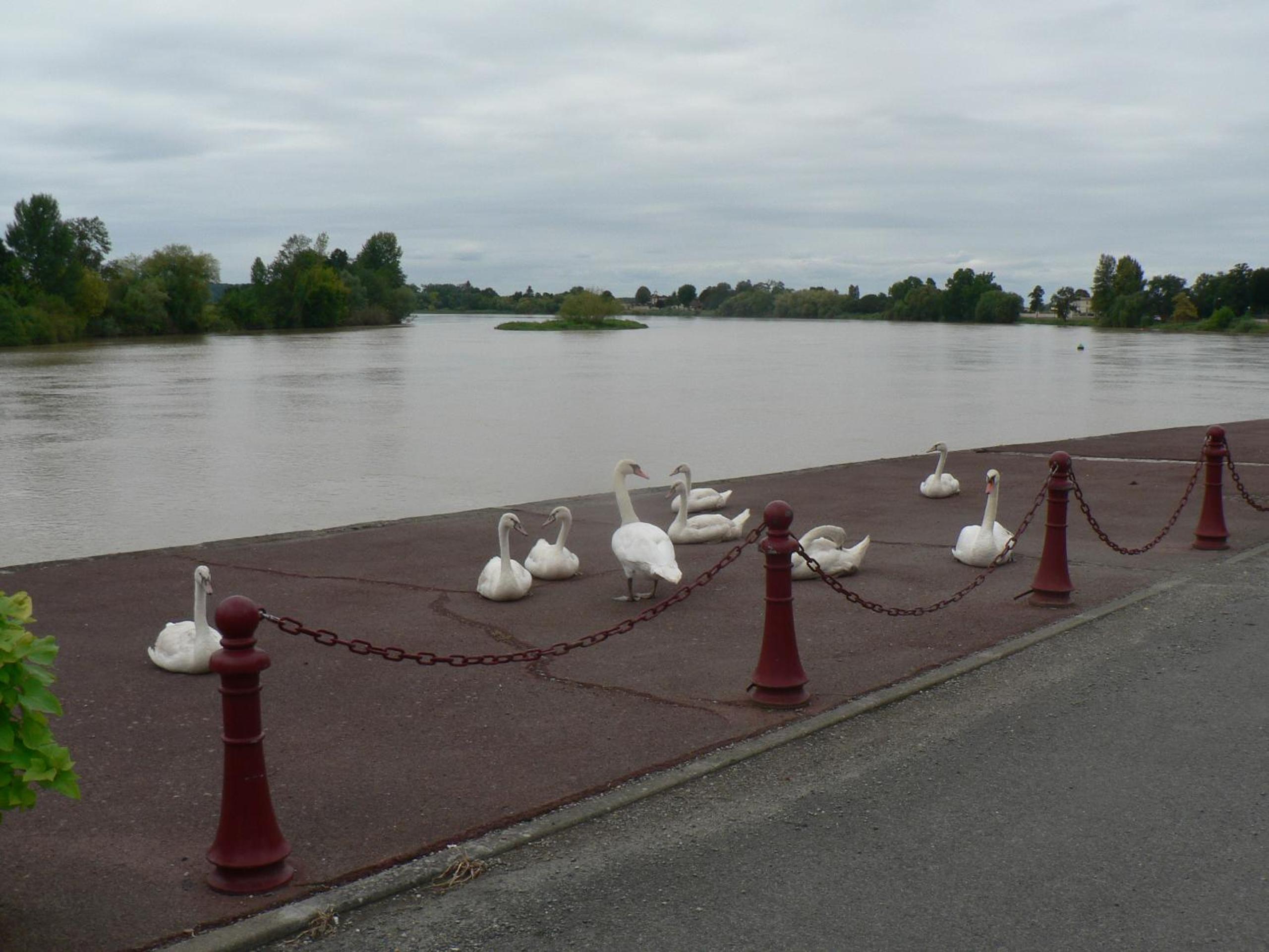 Gites Lacale face à la rivière