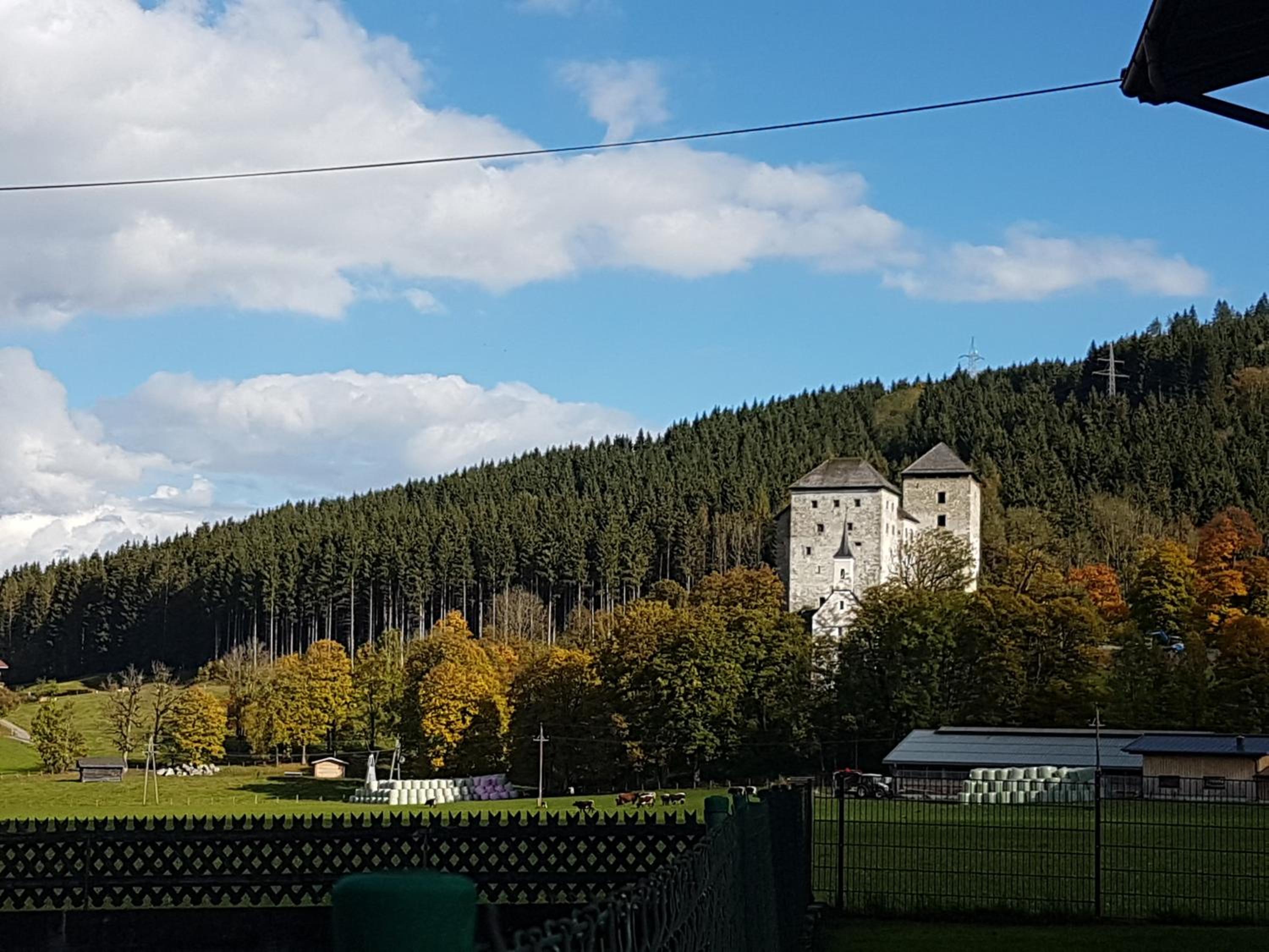 Photo 18