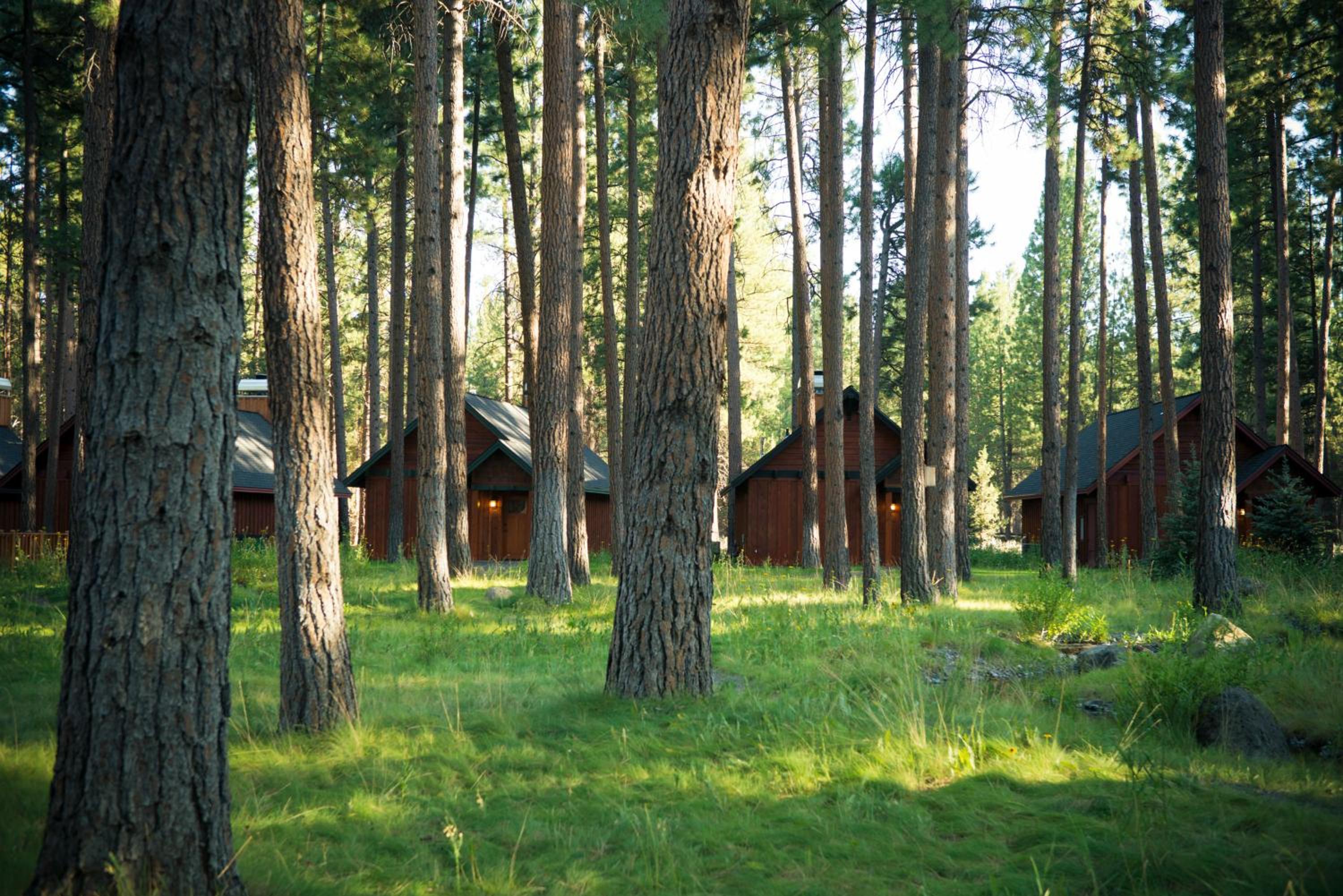 FivePine Lodge
