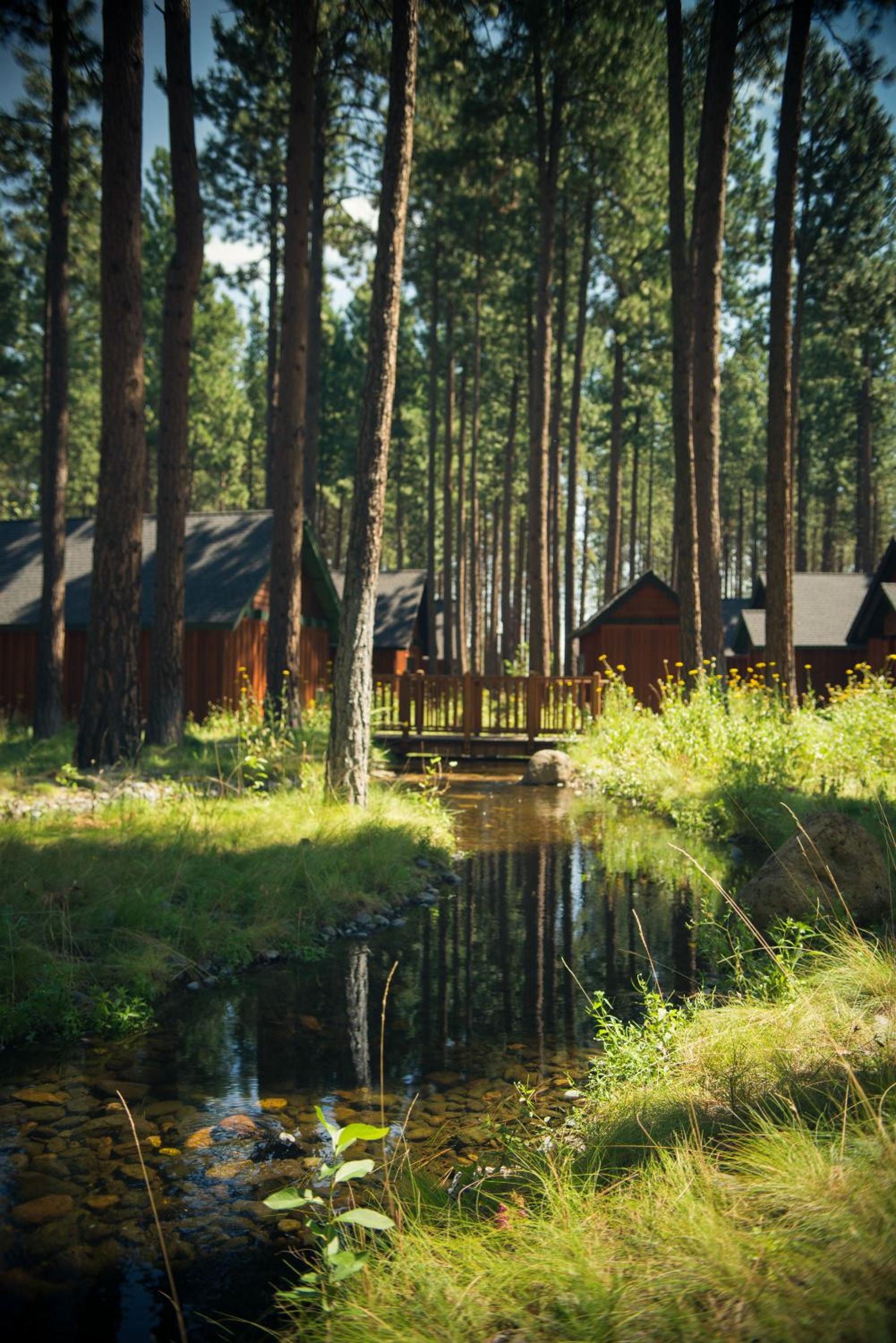 FivePine Lodge