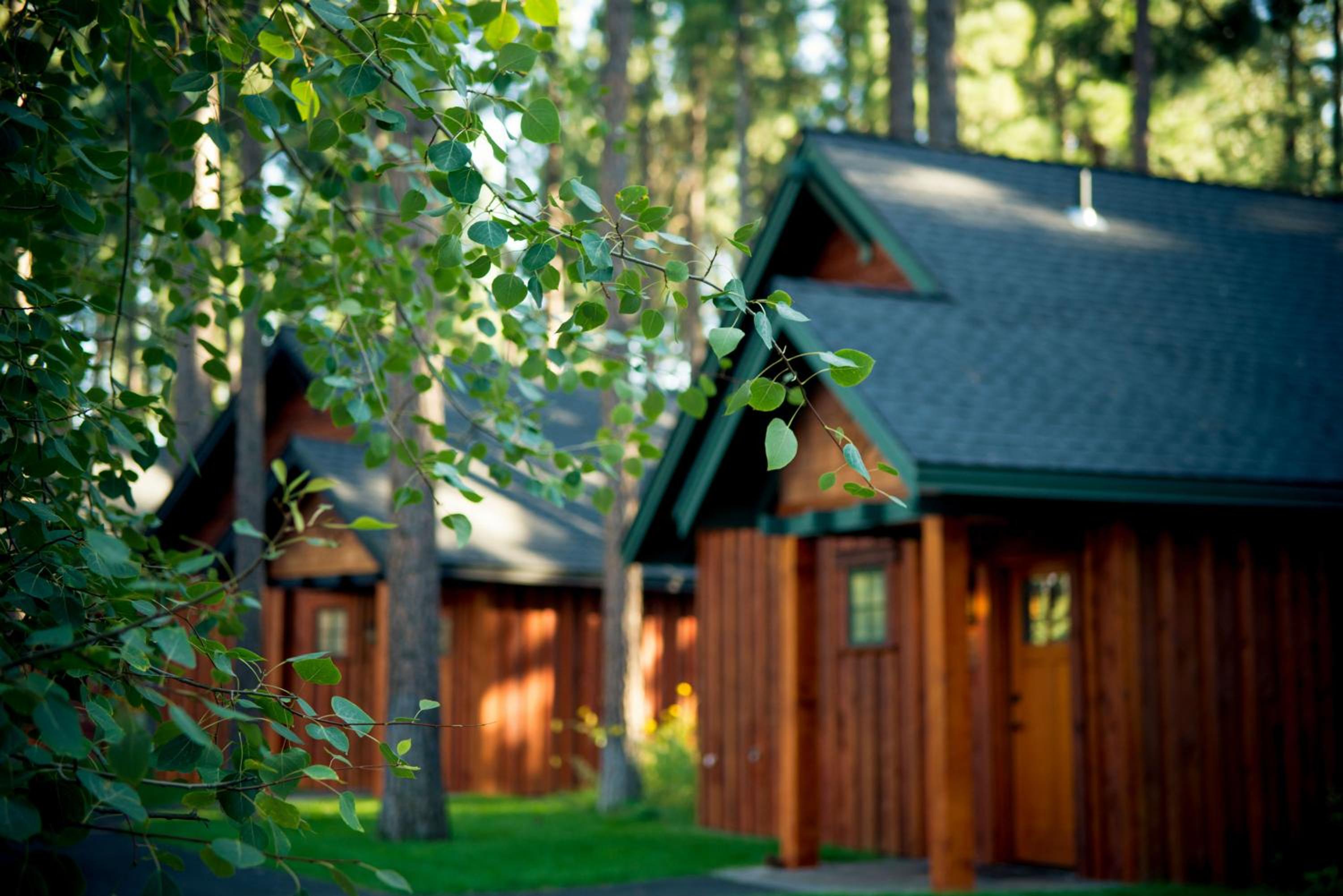 FivePine Lodge