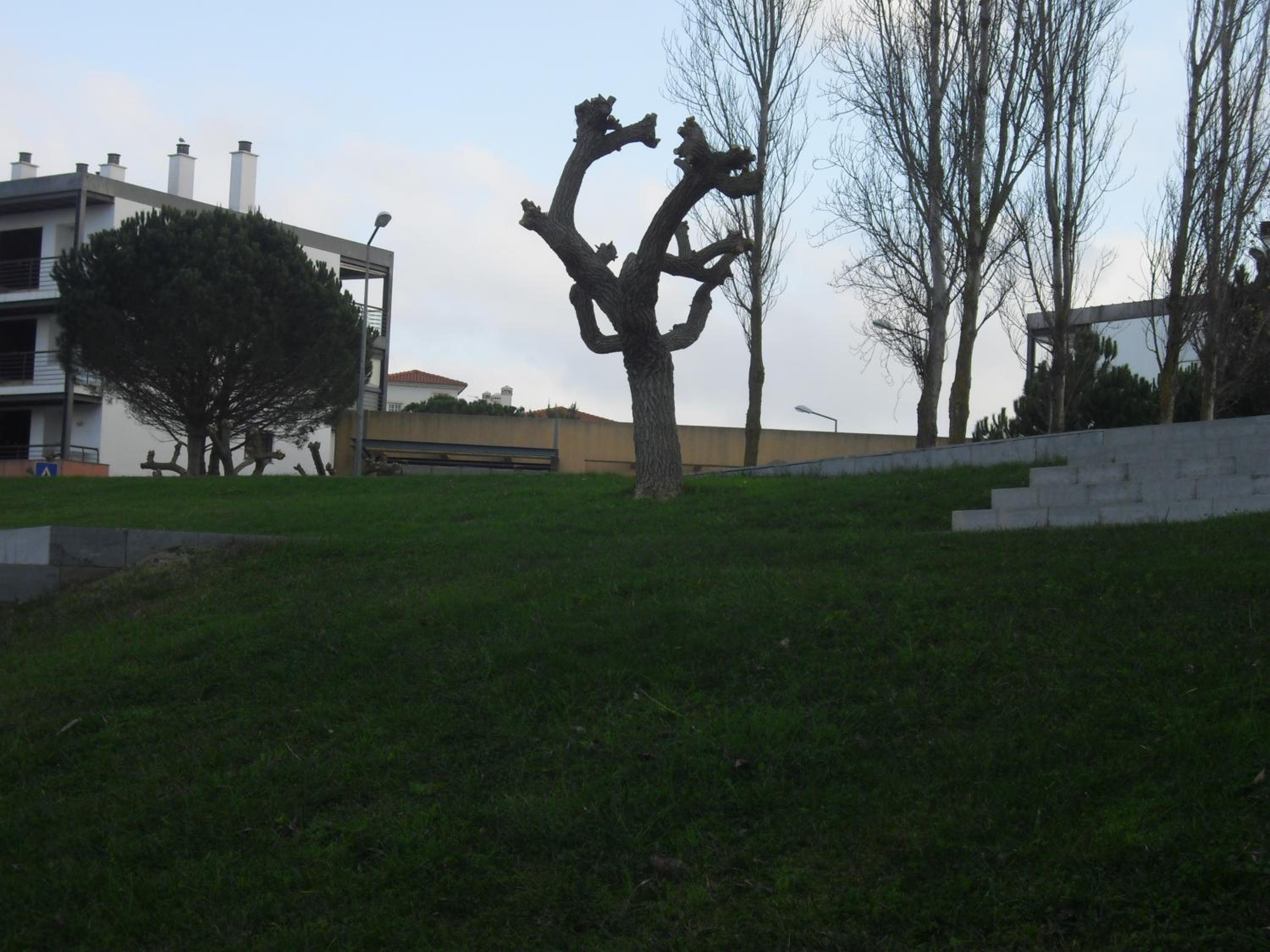 Photo 24