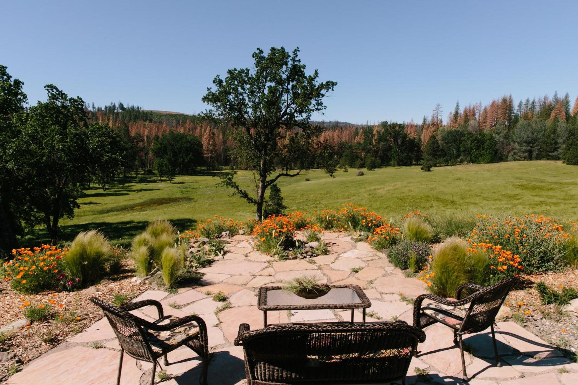 Red Tail Ranch view 3