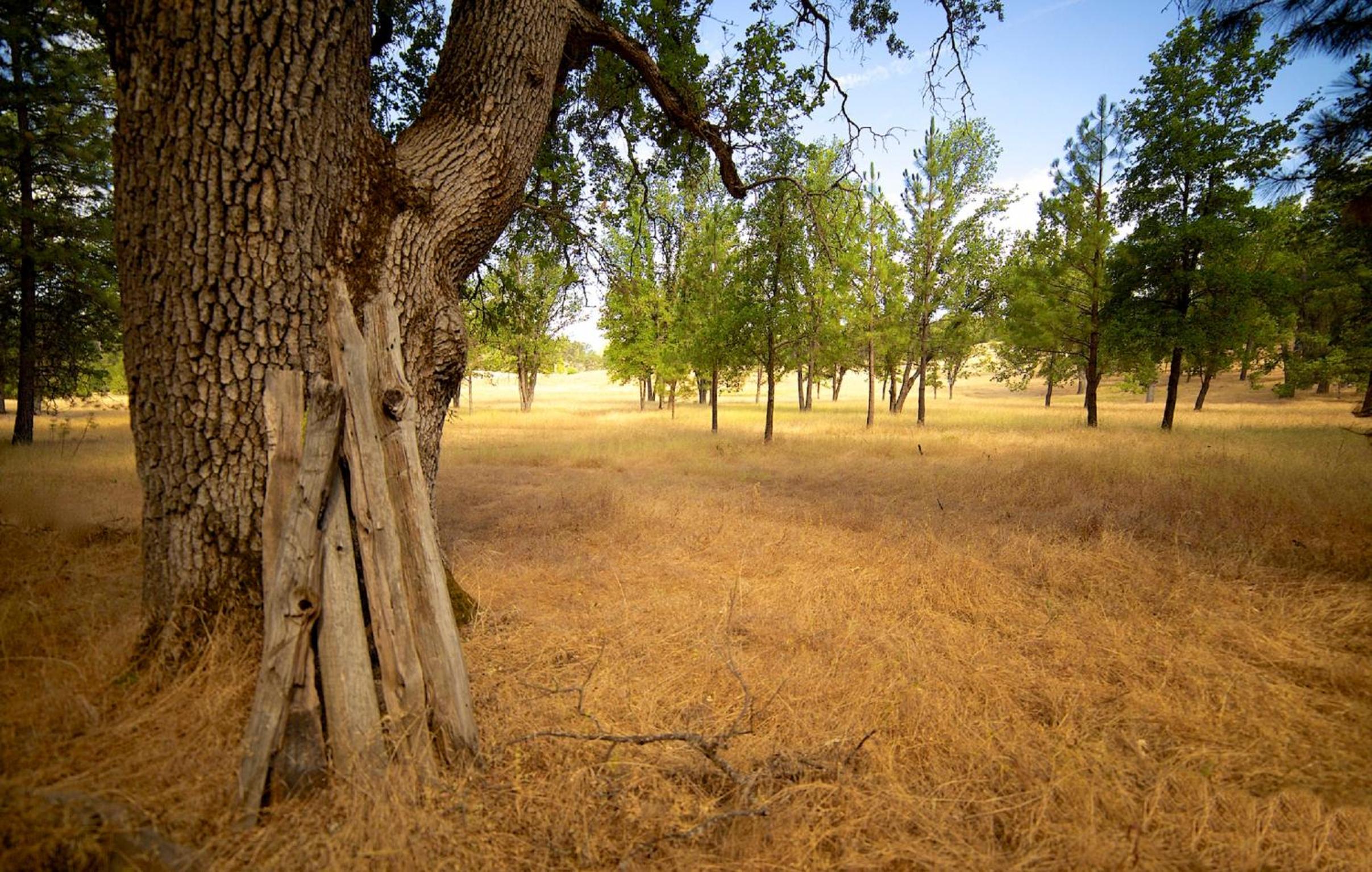Red Tail Ranch view 5