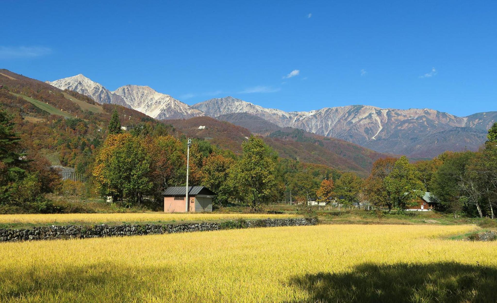 Pension Agi