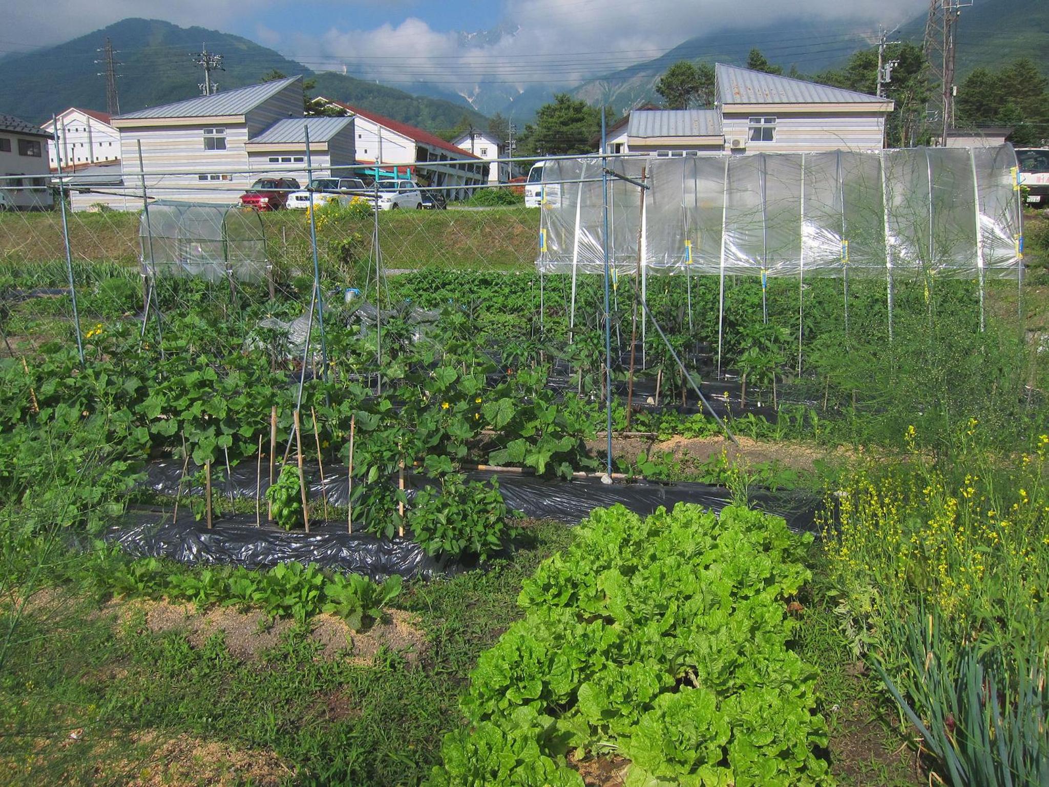 Pension Agi