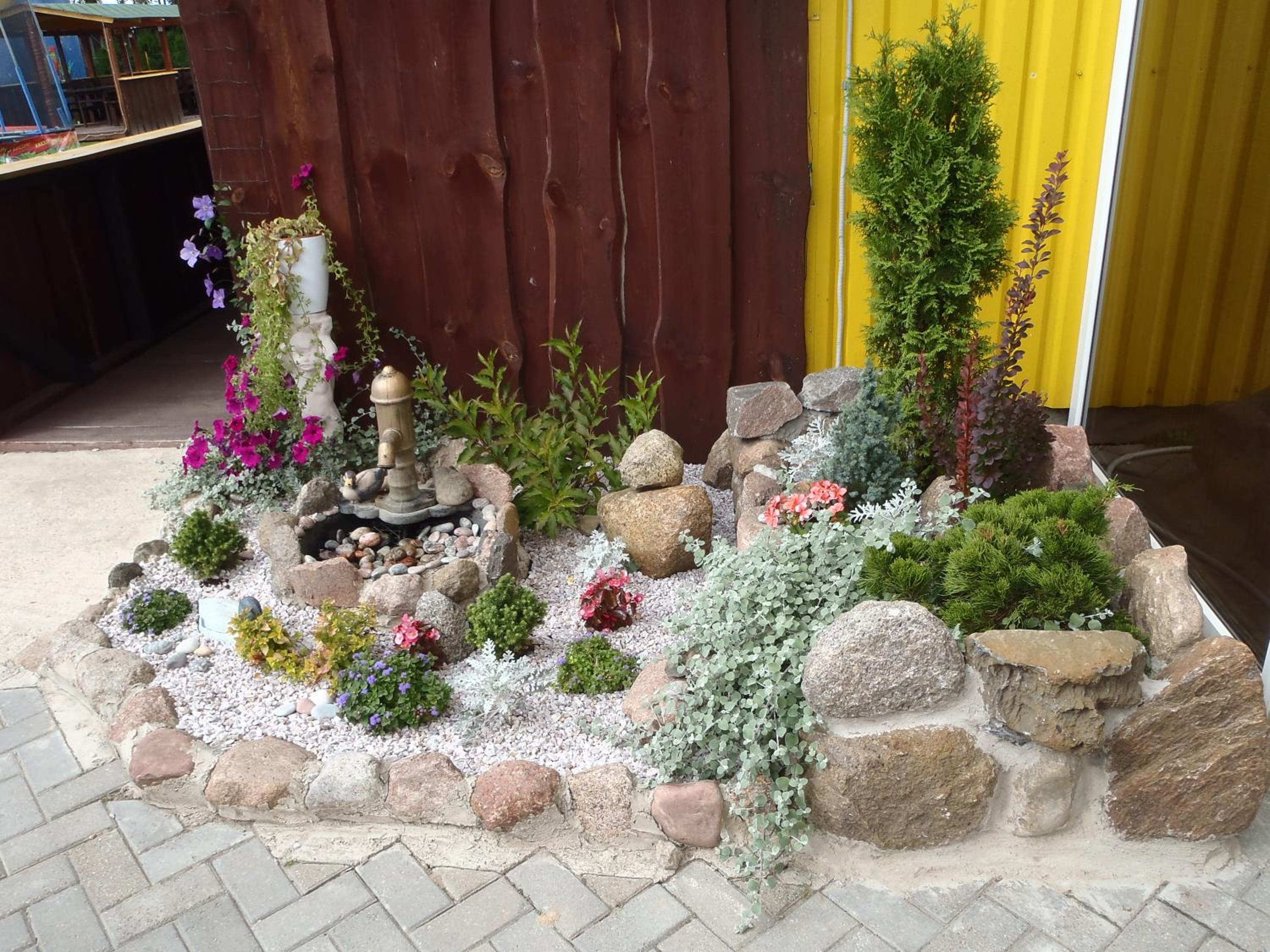 Photo 11