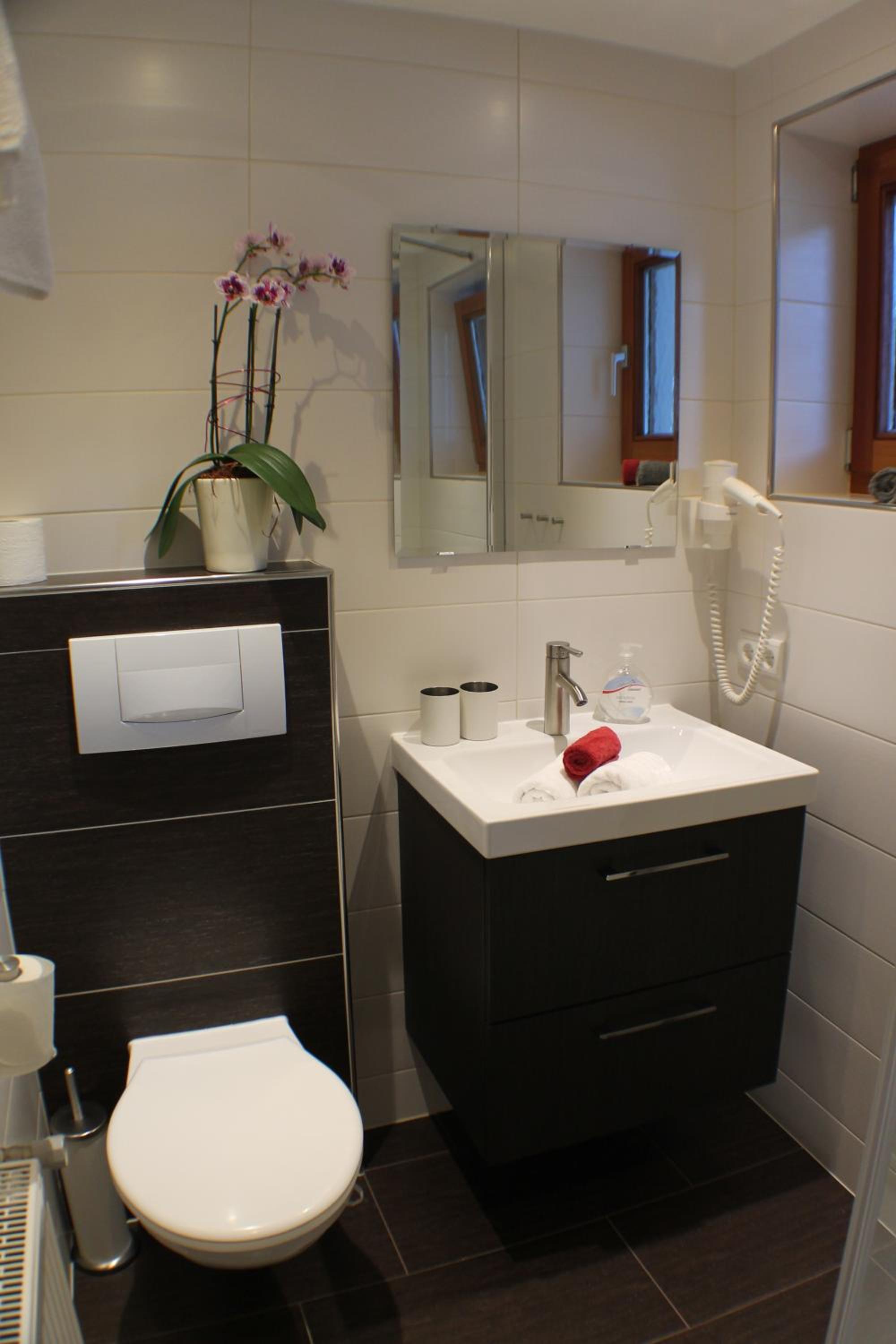 Appartment Bergheim