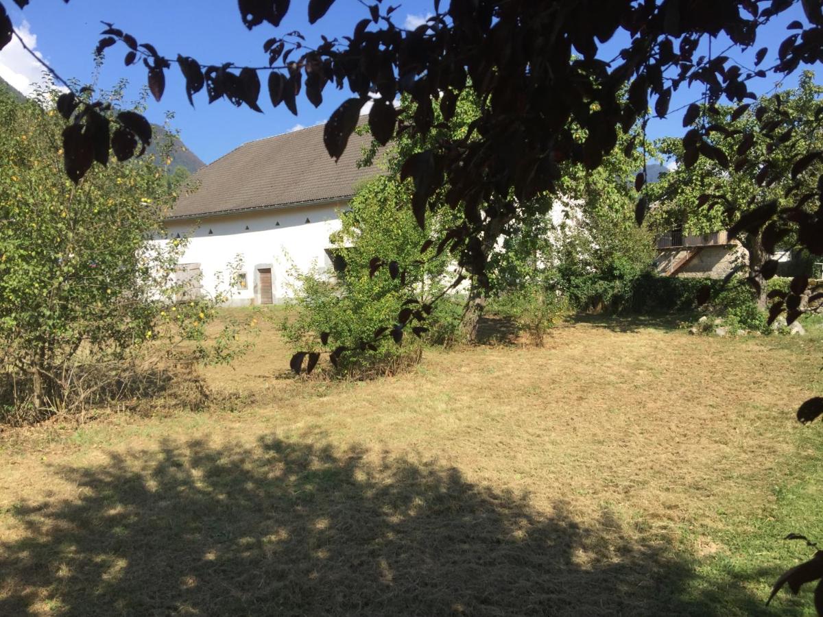 Photo 51