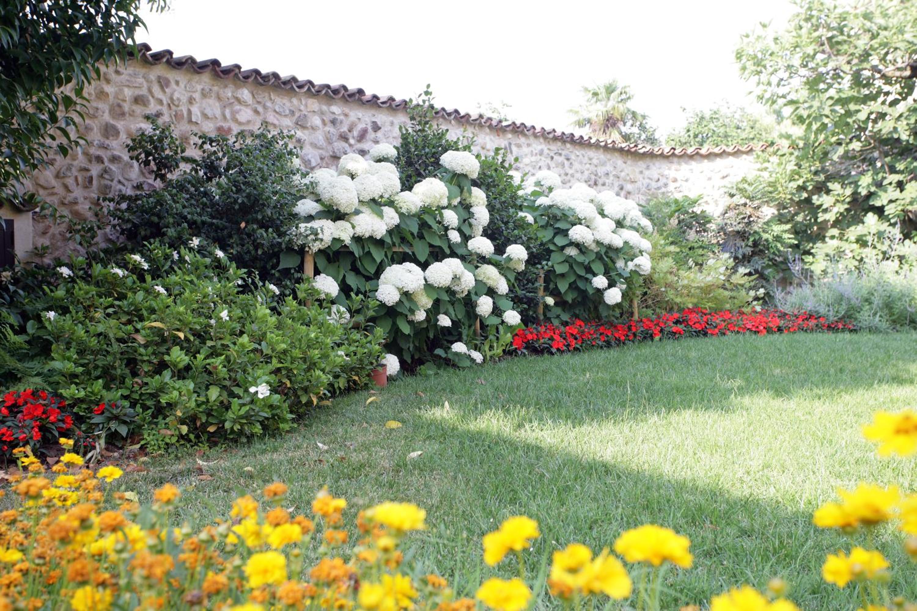 Agriturismo Macesina