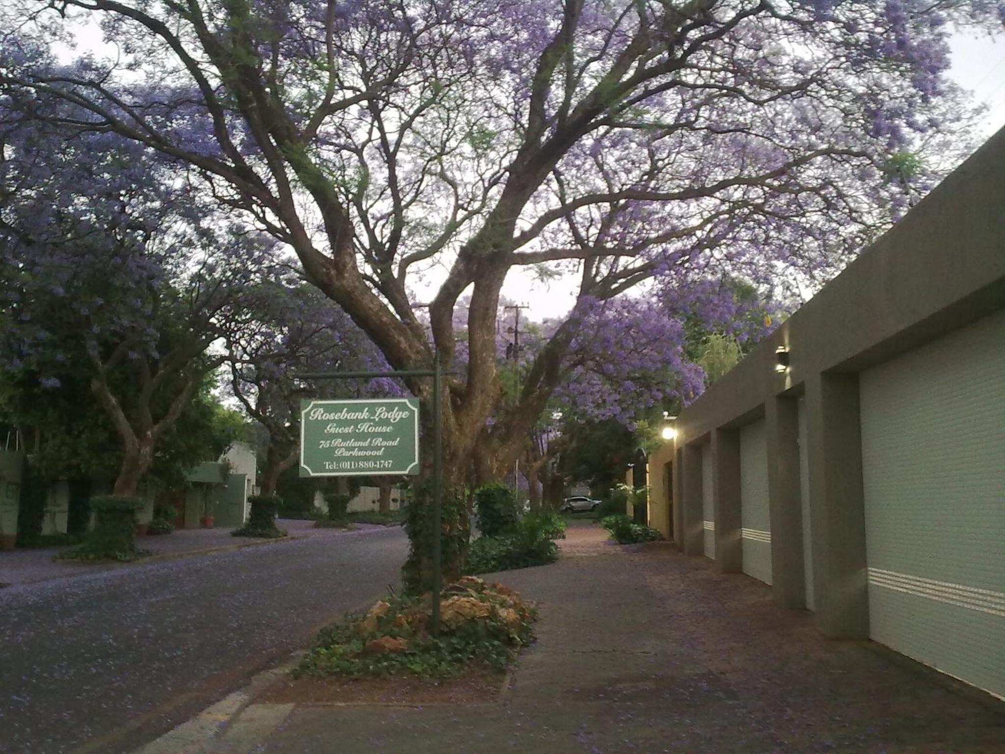 Rosebank Lodge Guesthouse by Claires