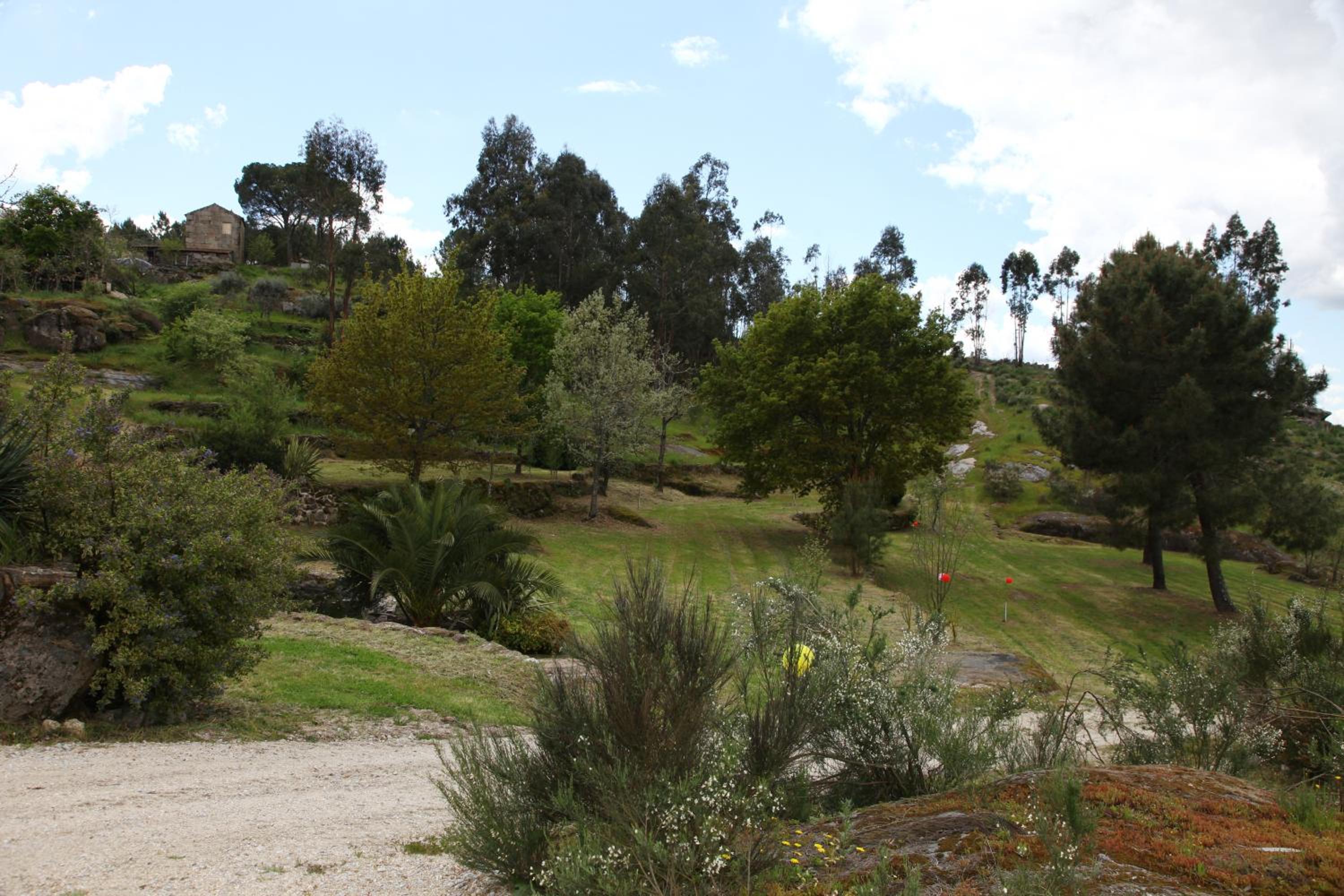 Photo 48