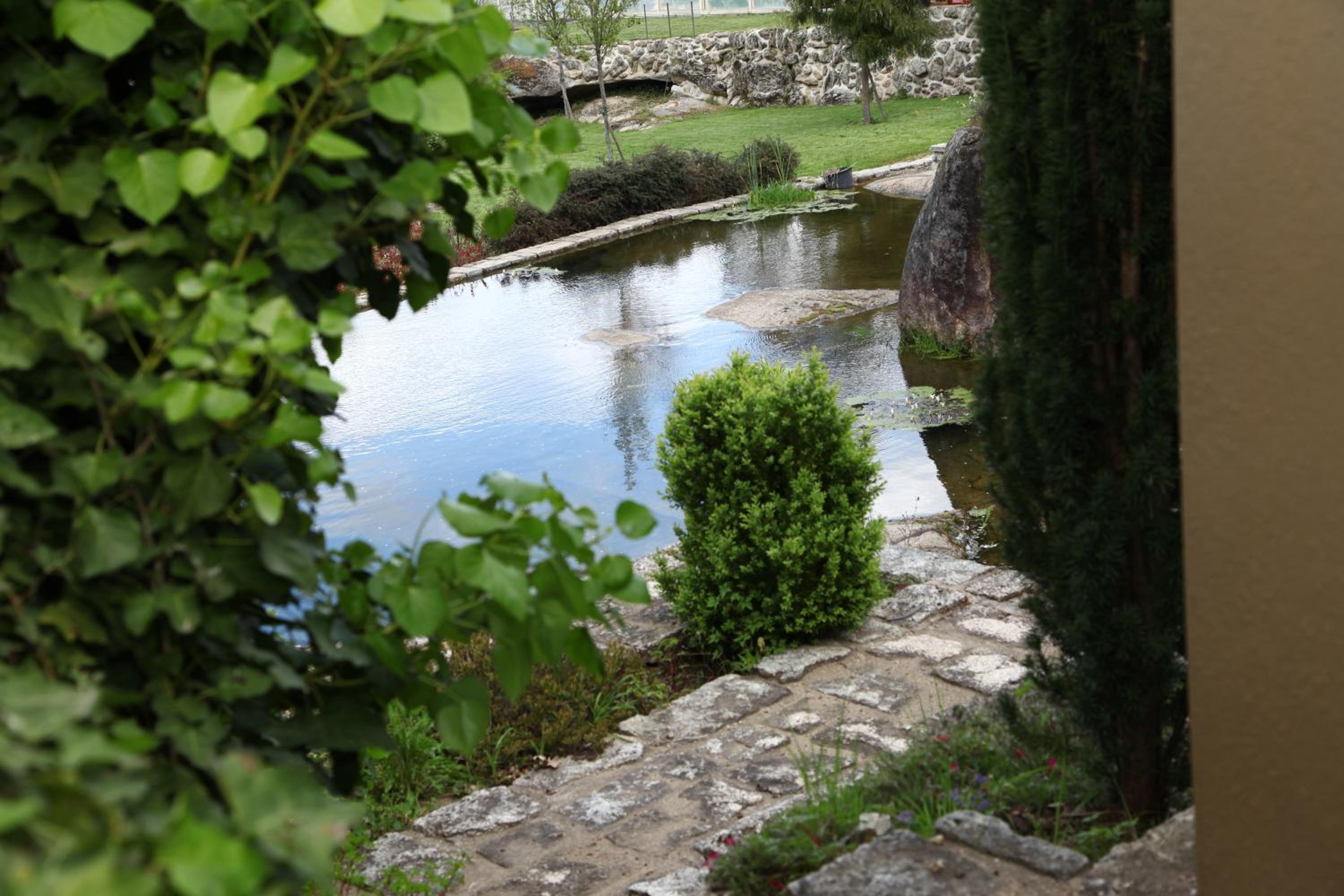 Photo 41