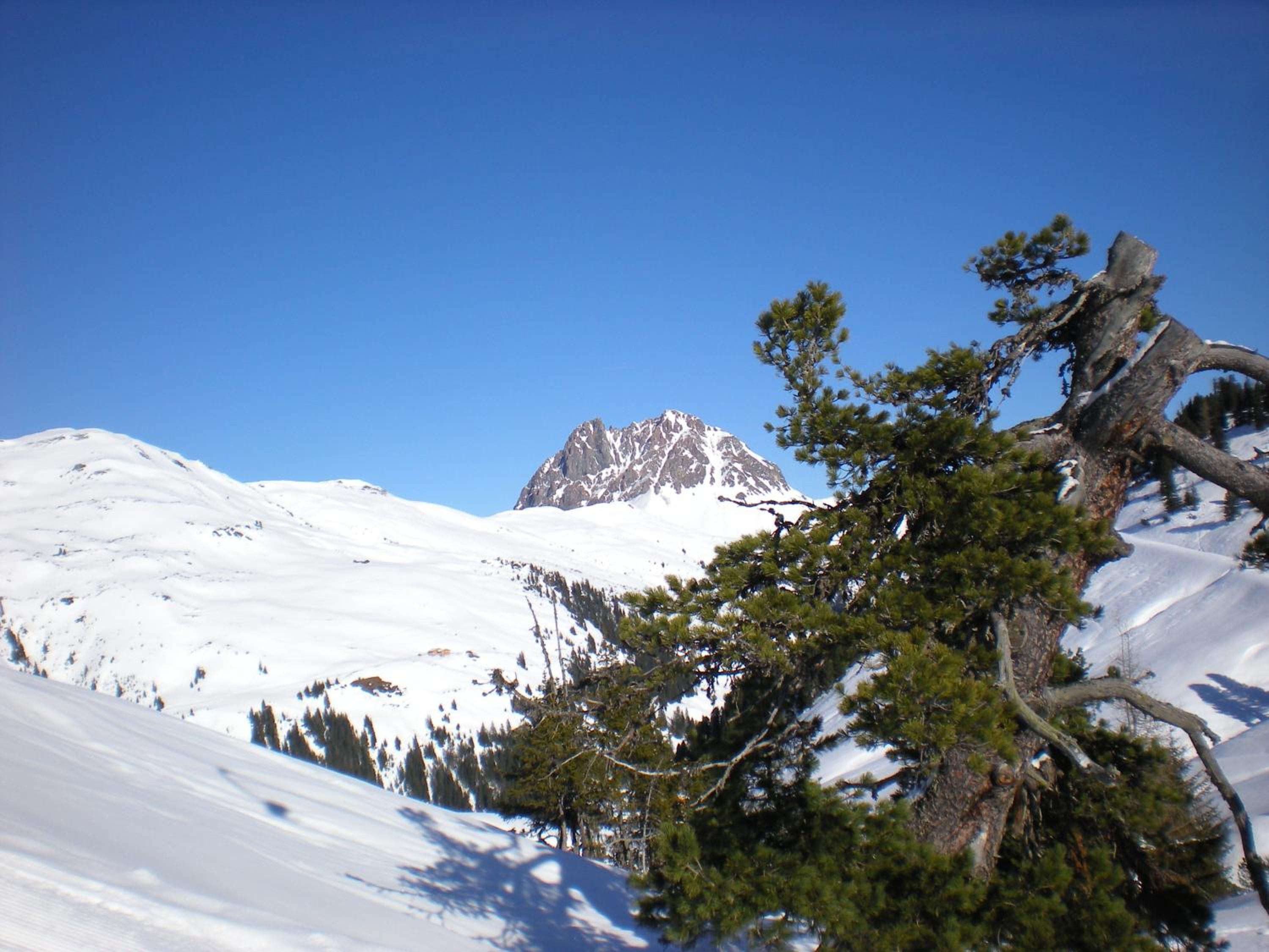 Photo 14