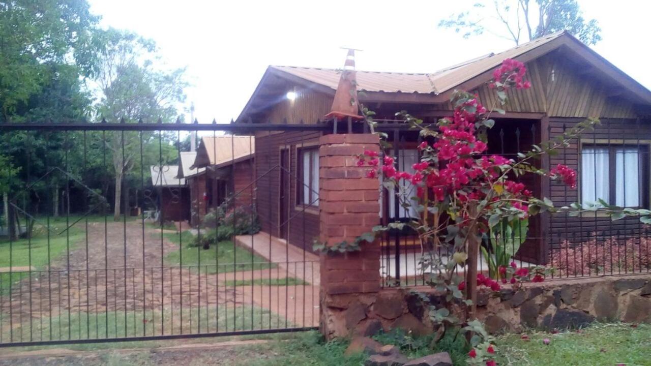 Voces De La Selva Misionera