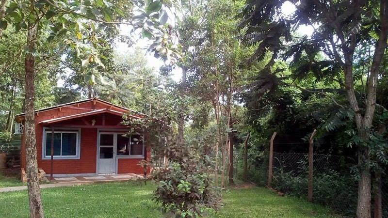 Voces De La Selva Misionera