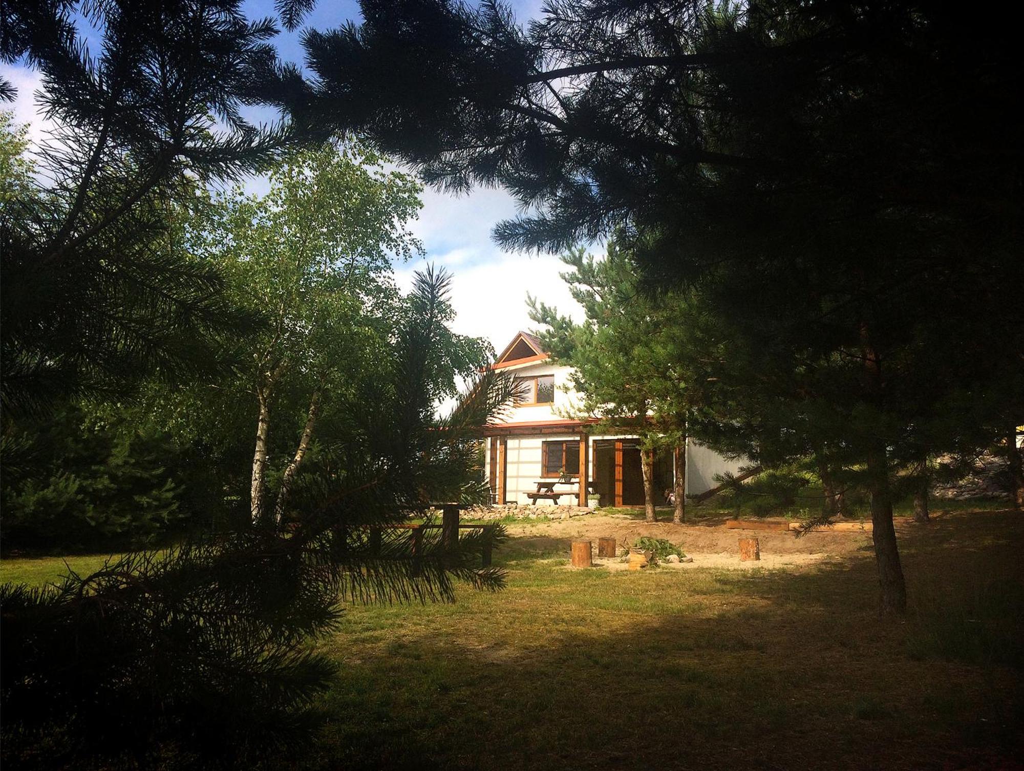 Photo 8