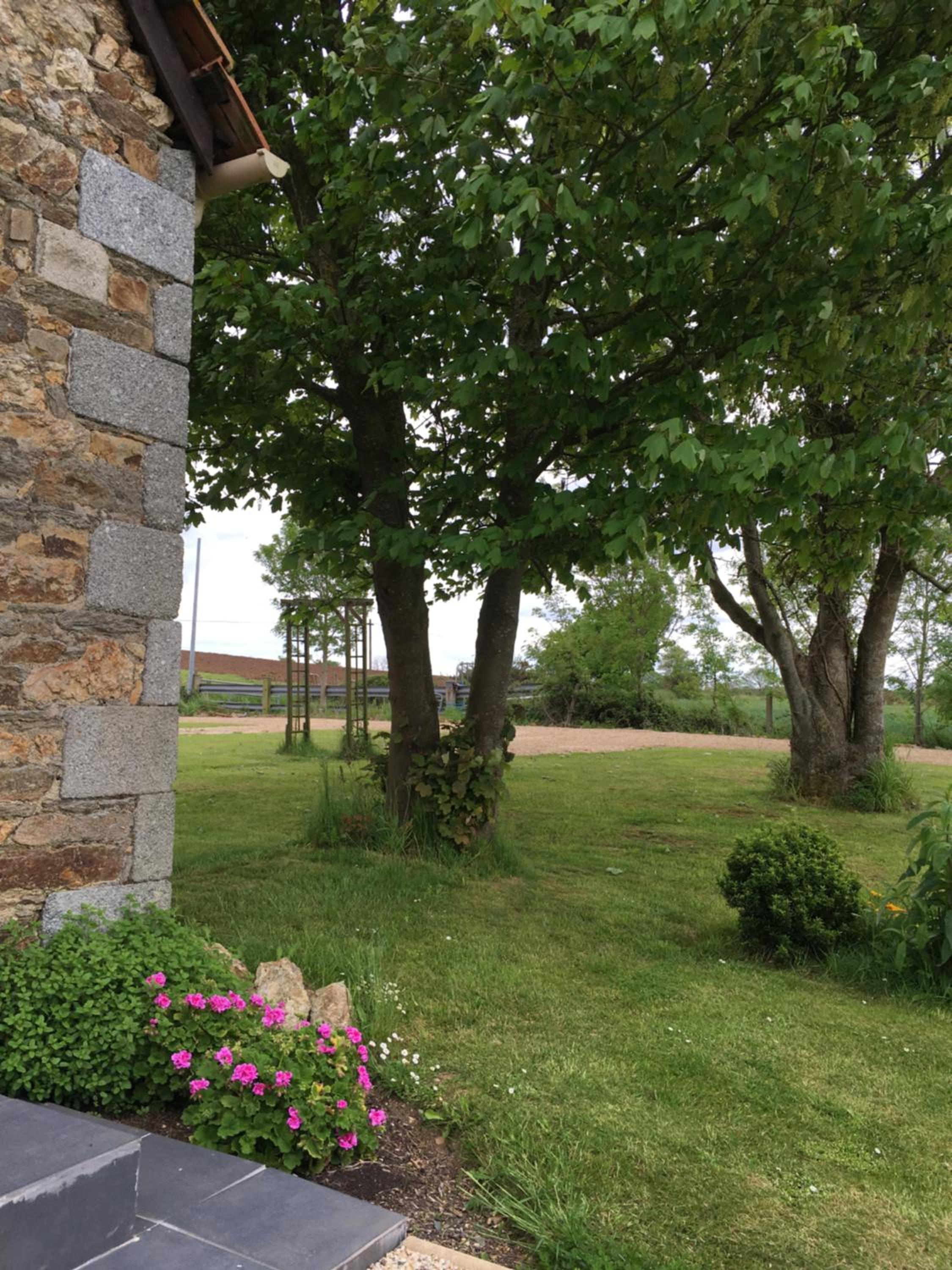 Photo 46