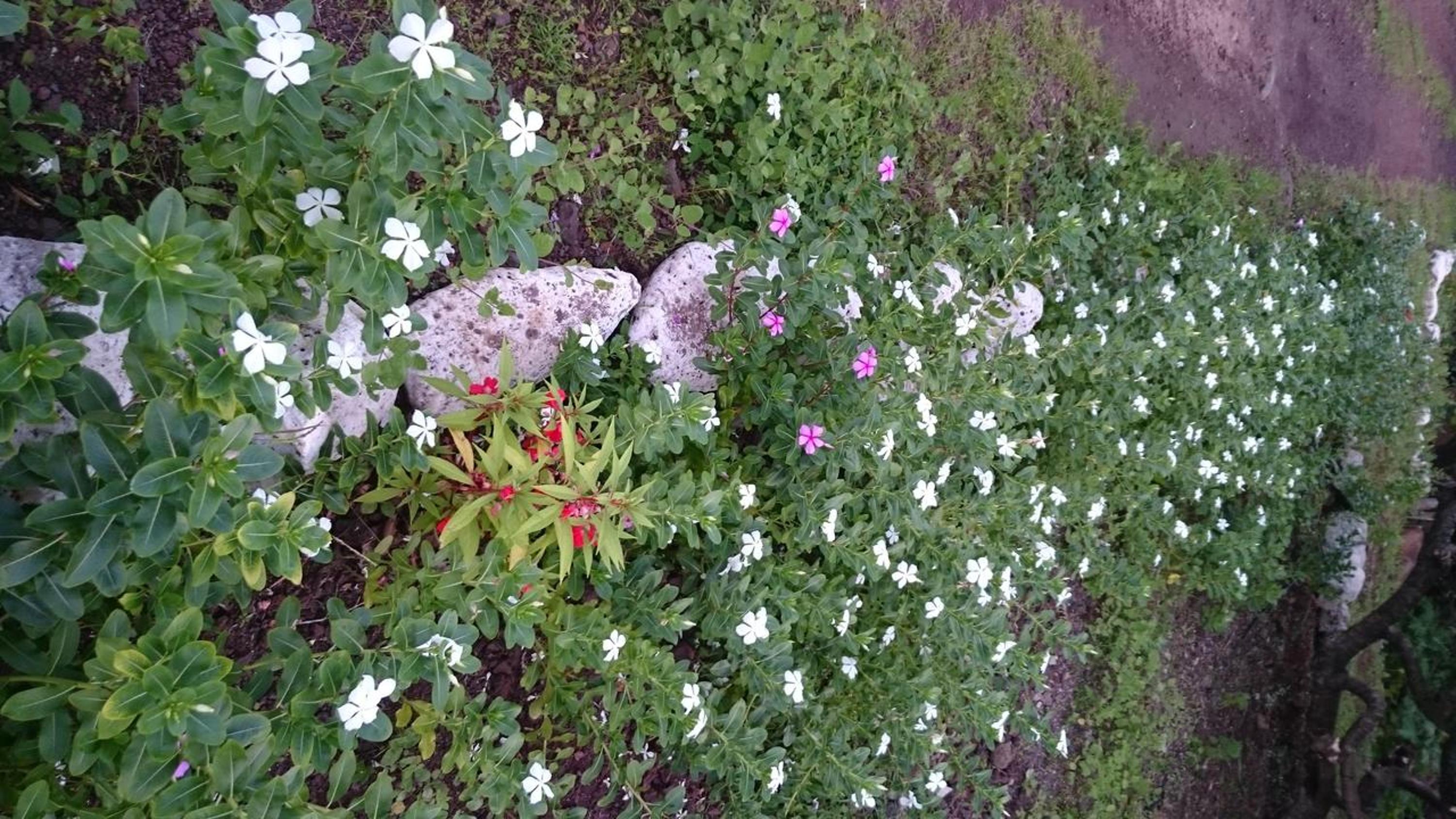 Photo 27