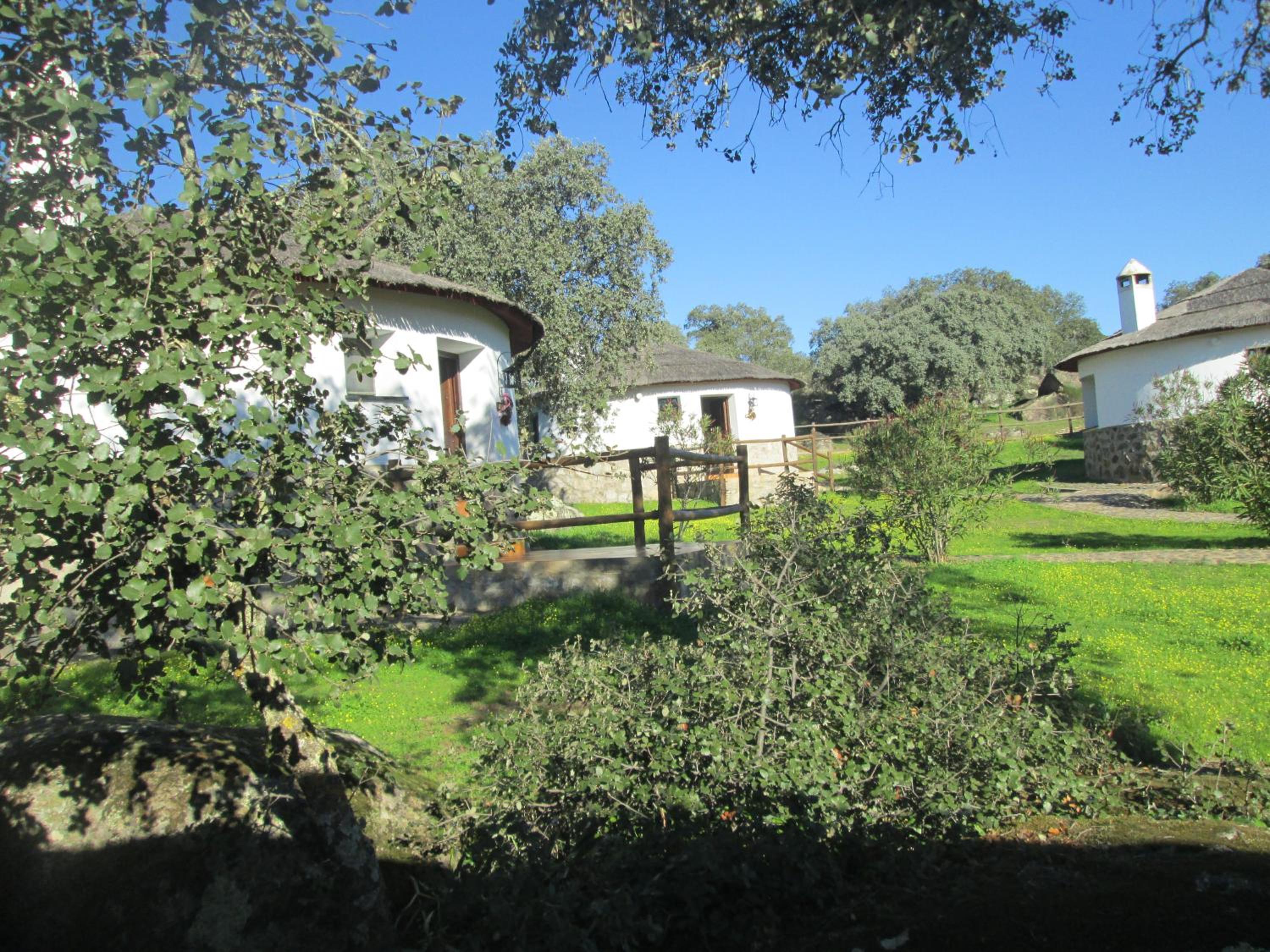 Photo 30