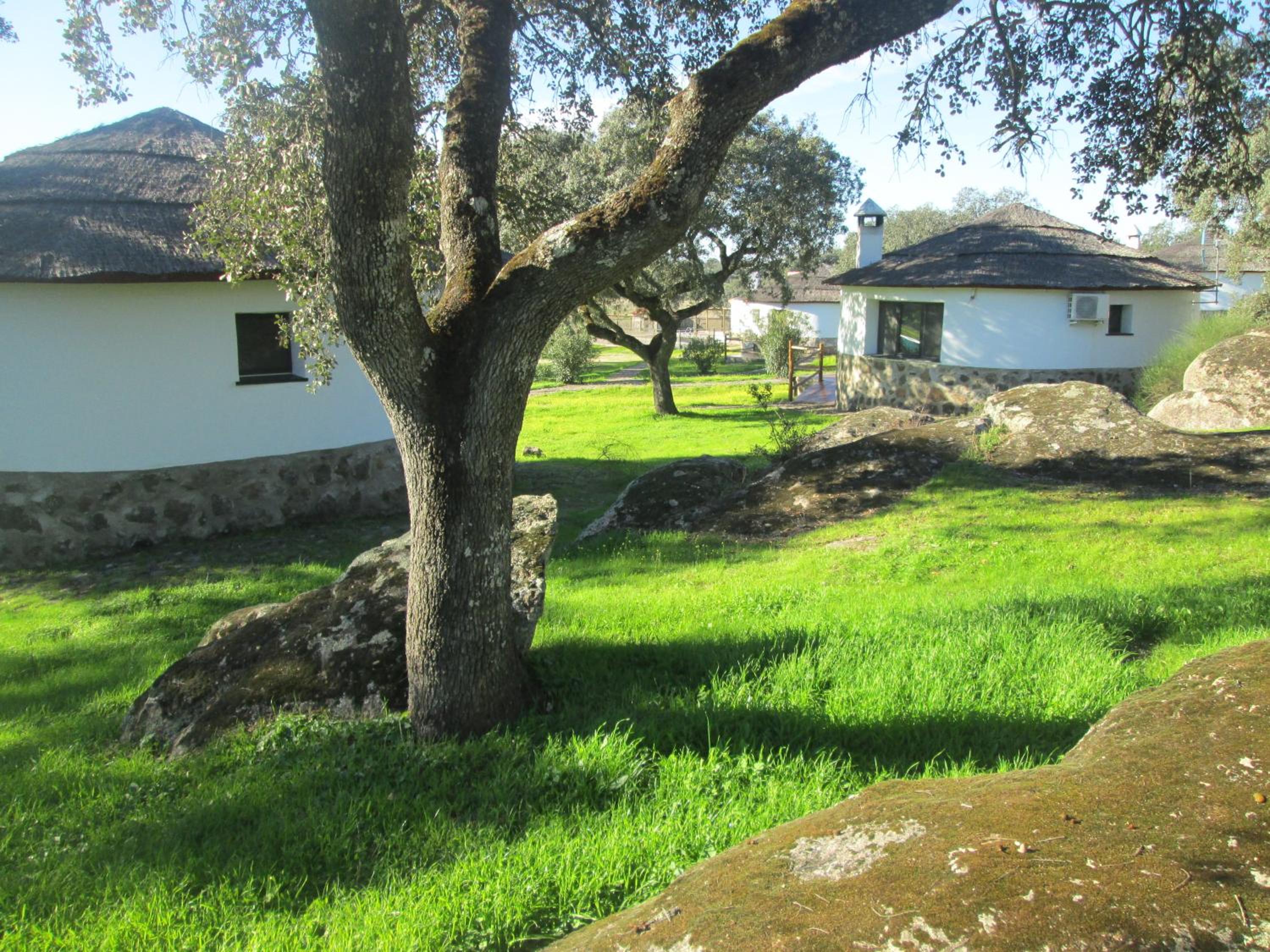 Photo 31