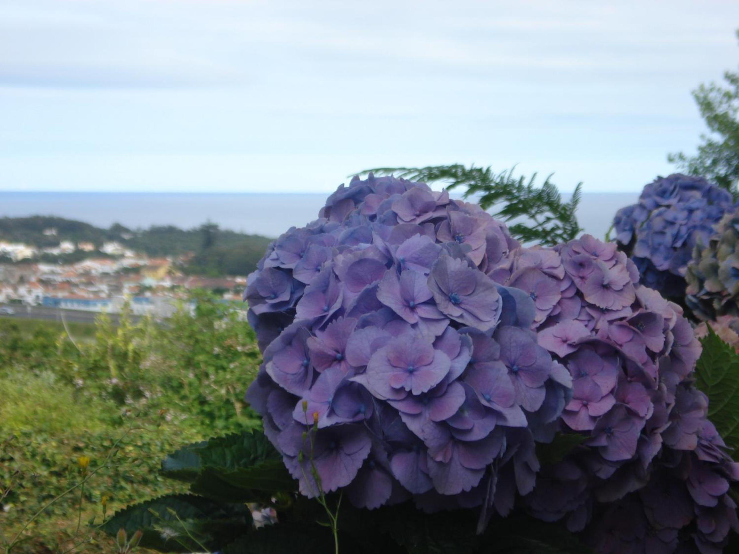 Family Holiday Villa Vacations - Ponta Delgada Azores Rentals