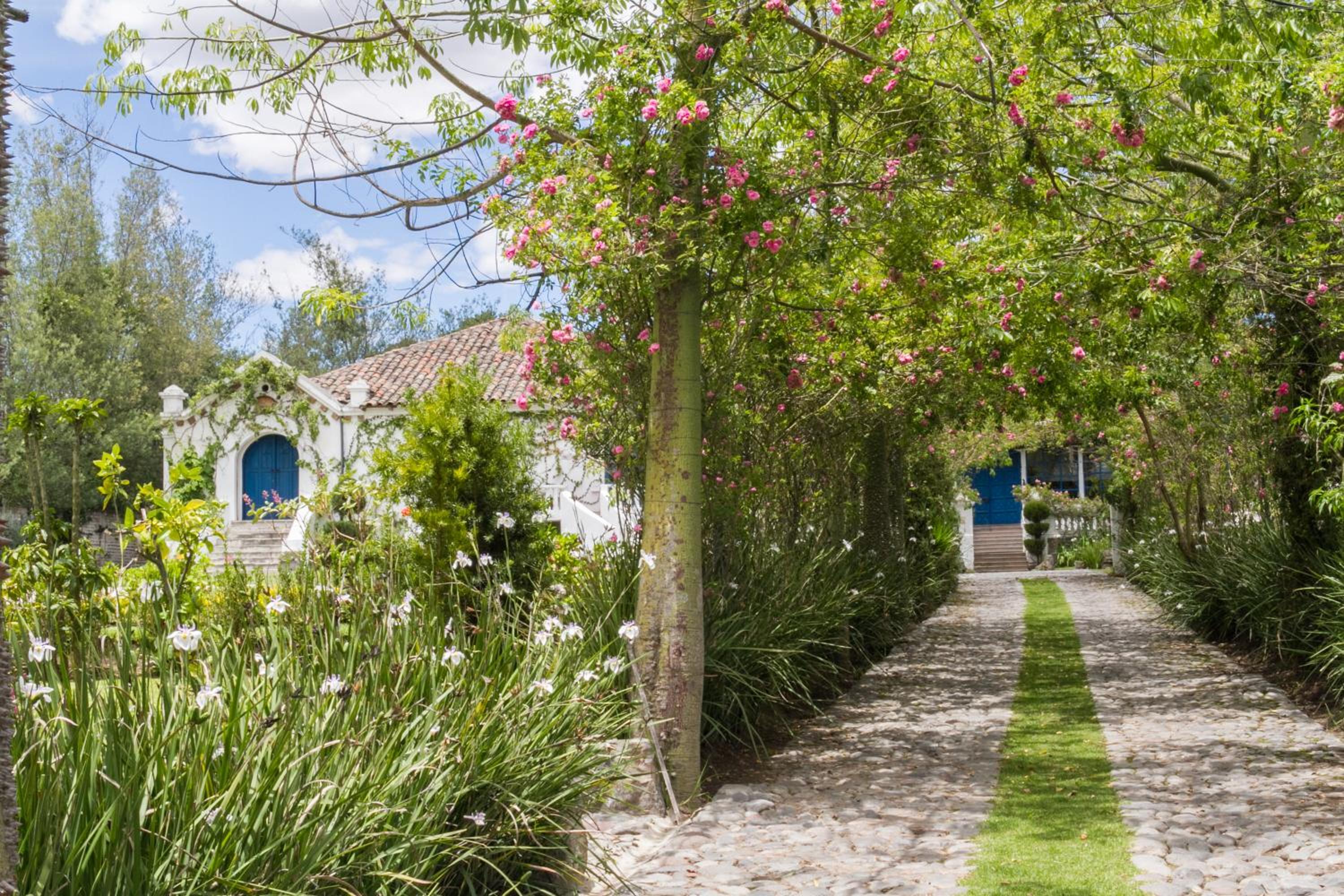 Hotel Boutique Casa de Hacienda Su Merced