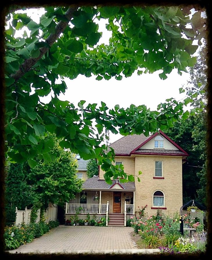 Tranquil Days Guest House - a truly exceptional bed and breakfast