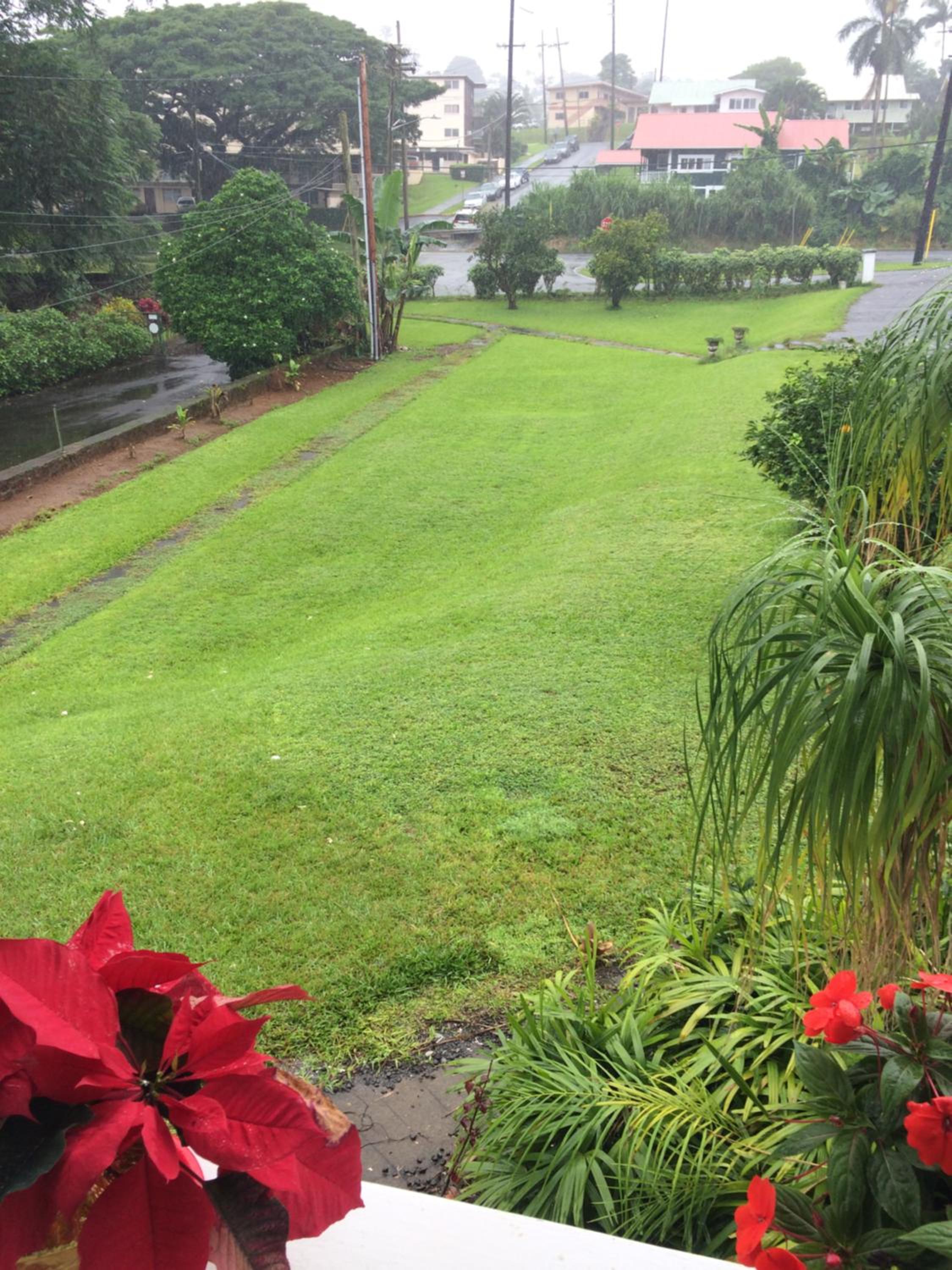 Hilo Bay Oceanfront Bed and Breakfast - Property Image 8