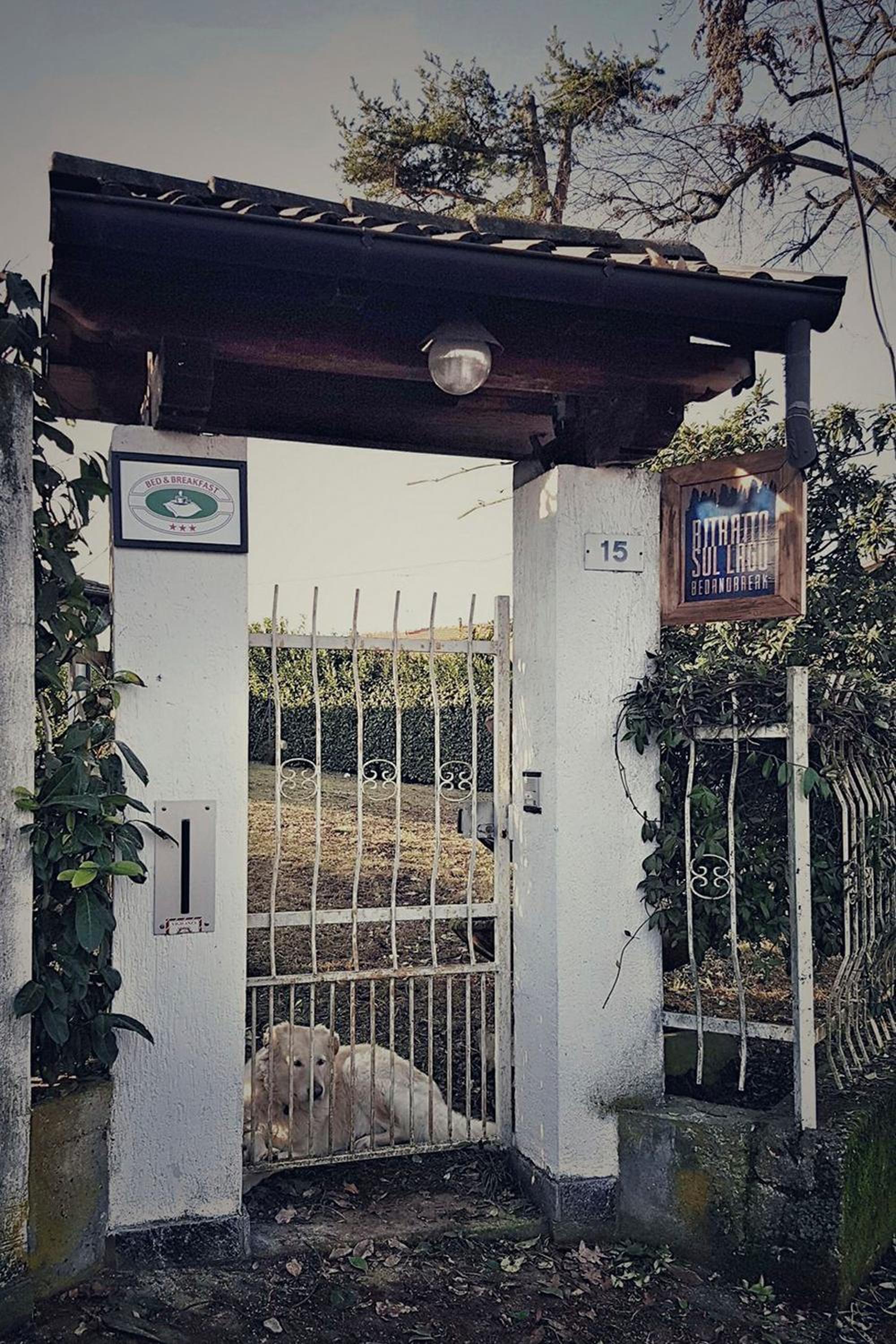 Ritratto sul Lago