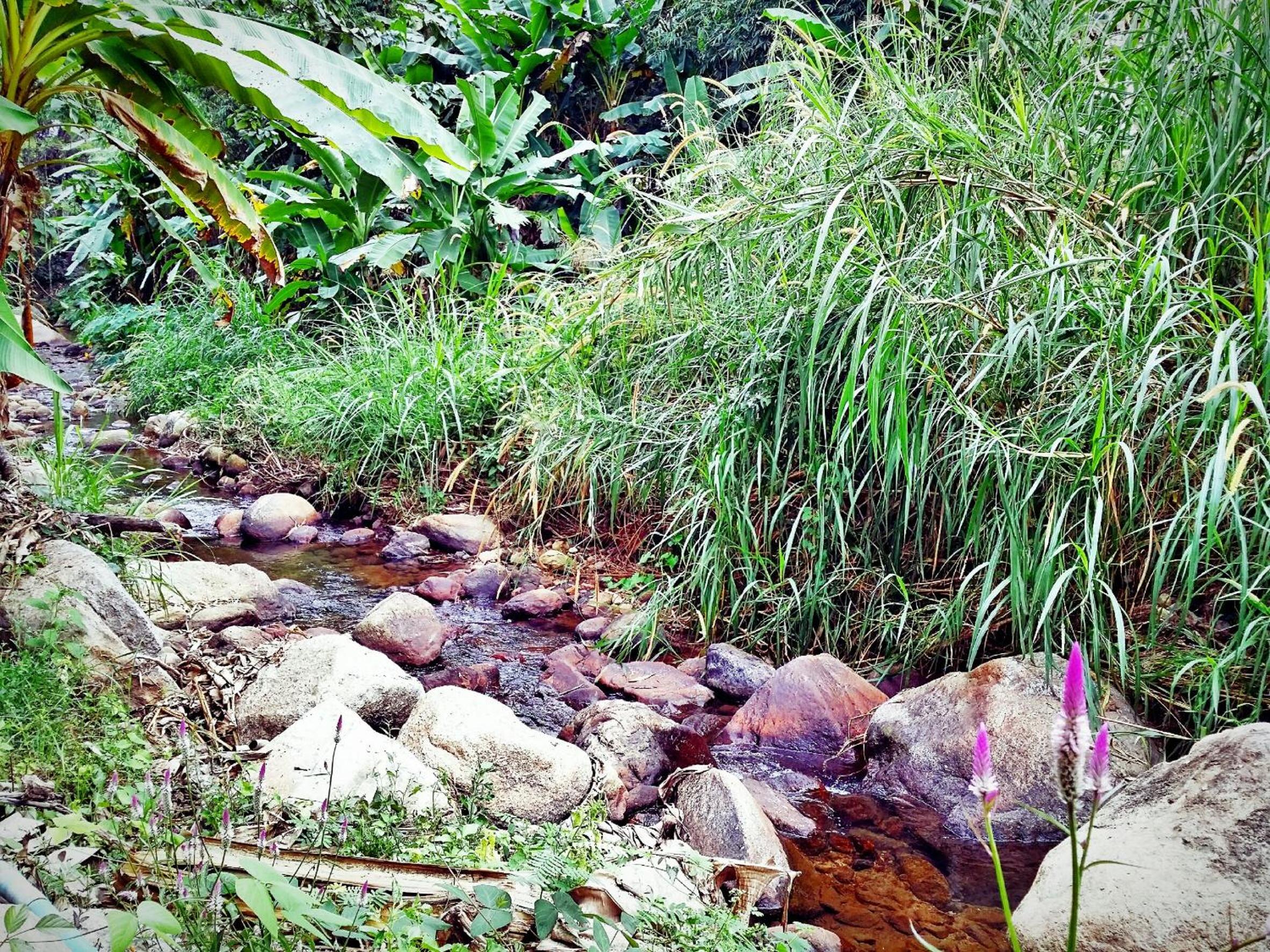 Baan Pai Likit