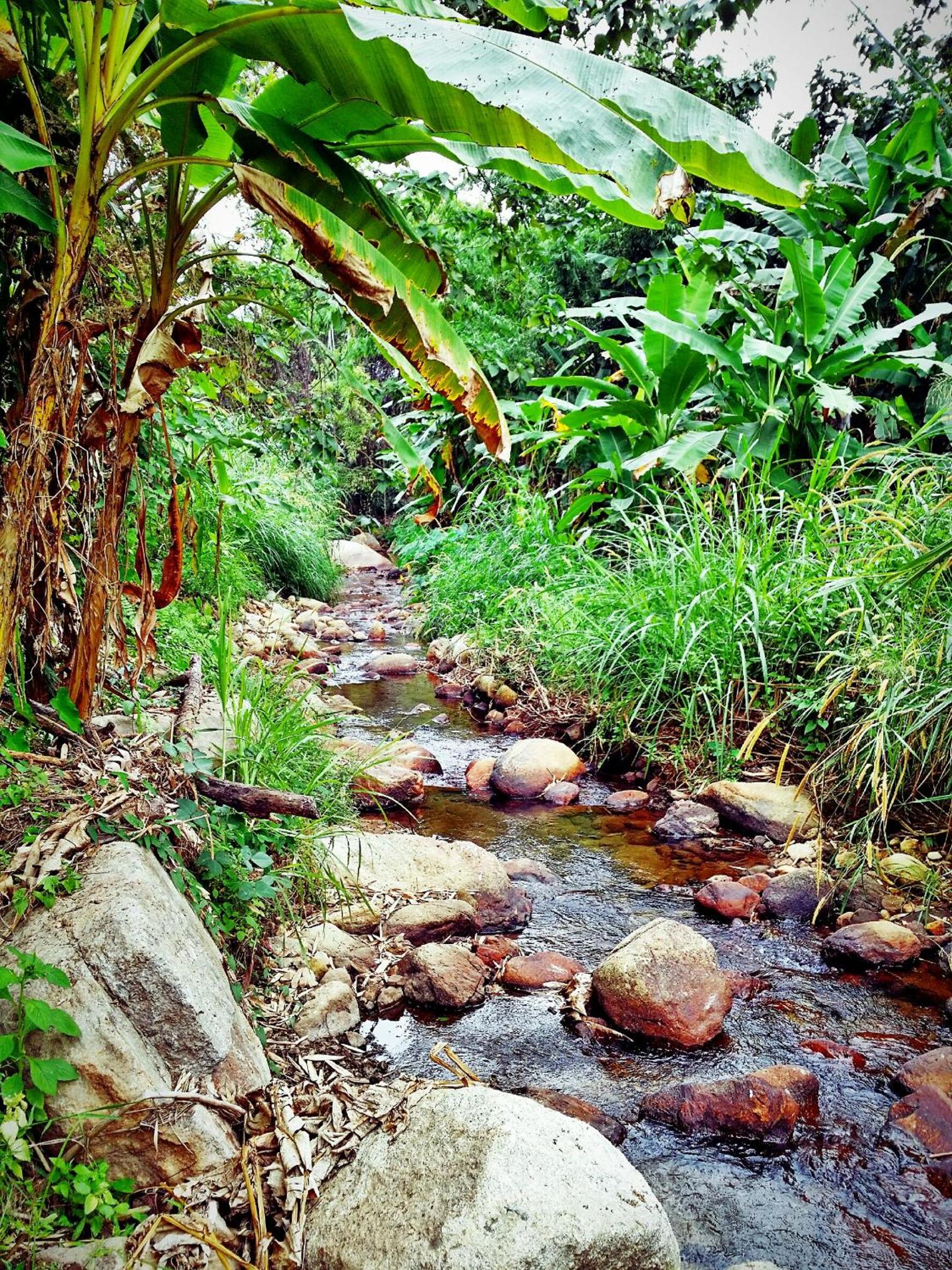 Baan Pai Likit