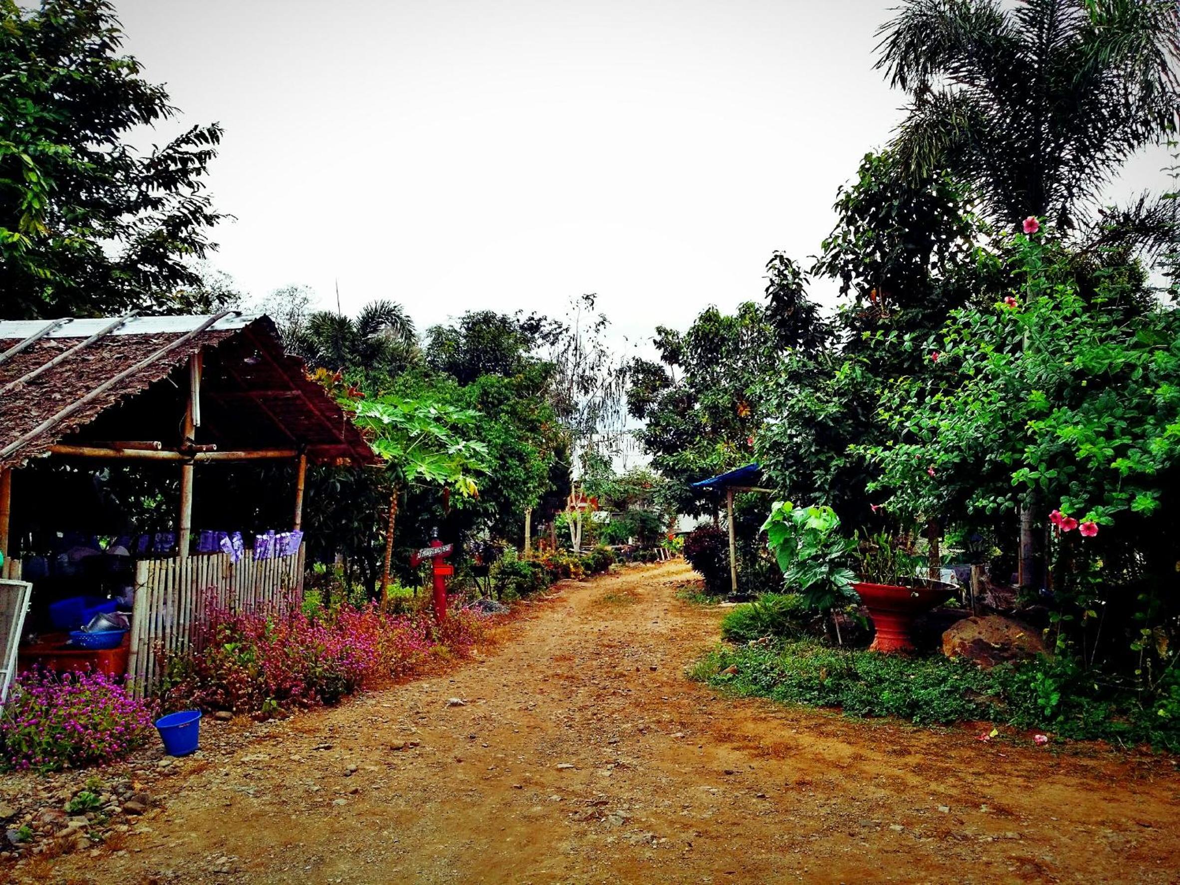 Baan Pai Likit