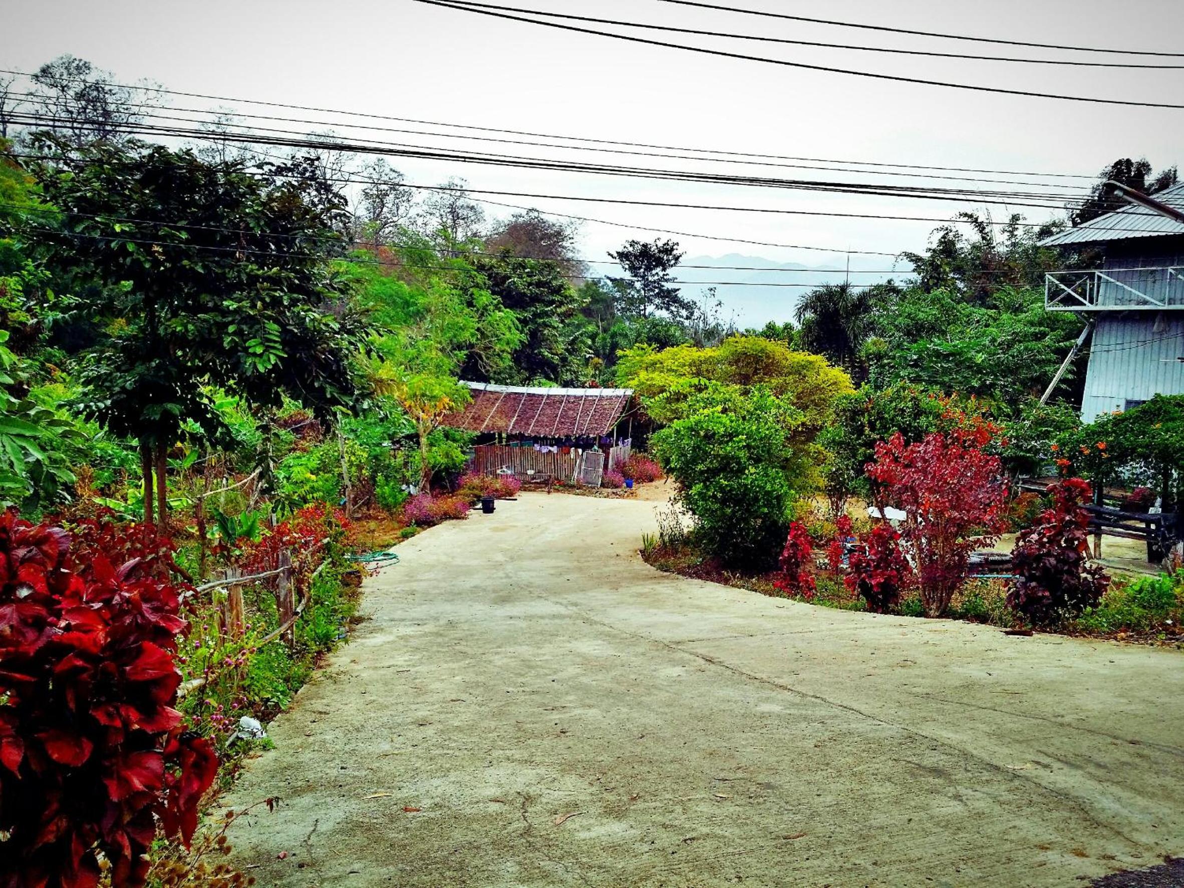 Baan Pai Likit