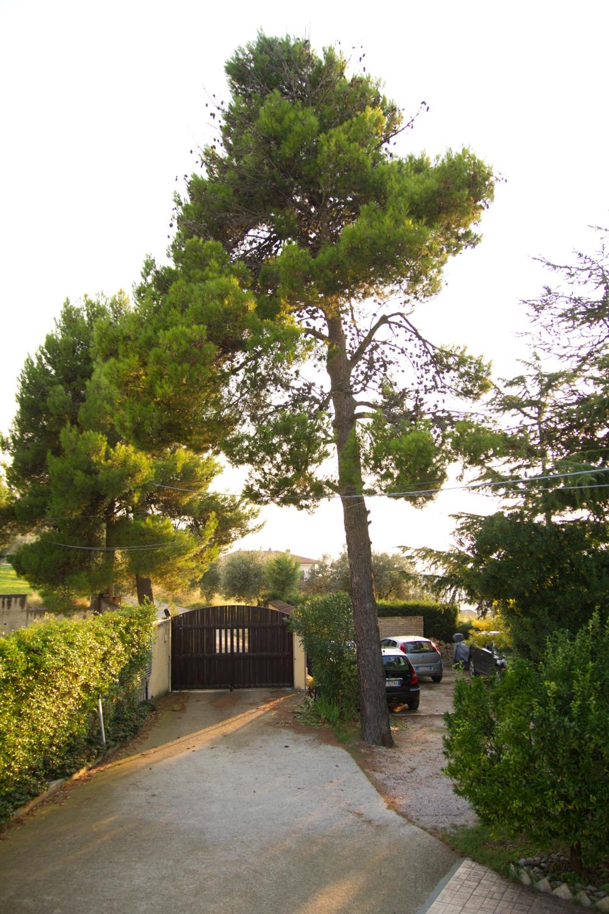 parking
