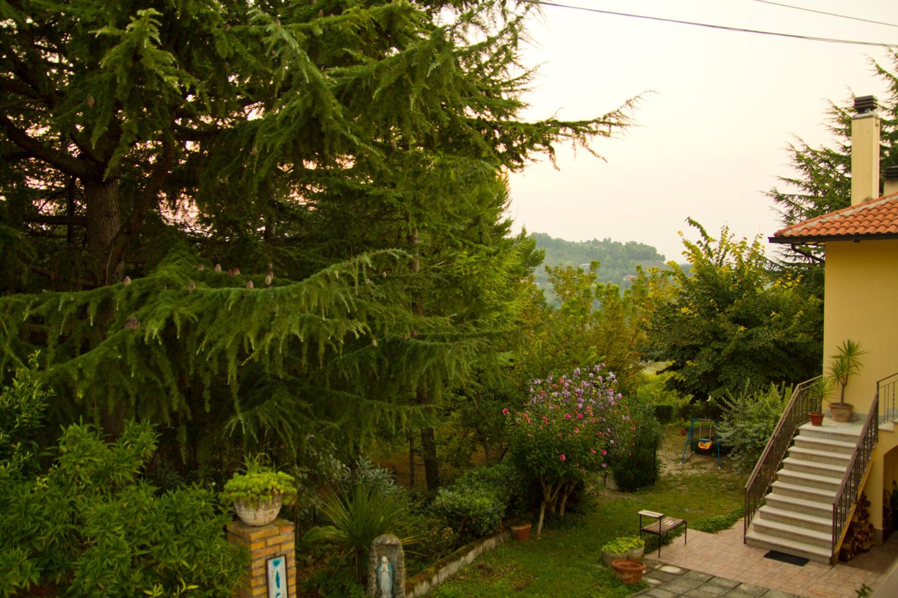 Photo 21