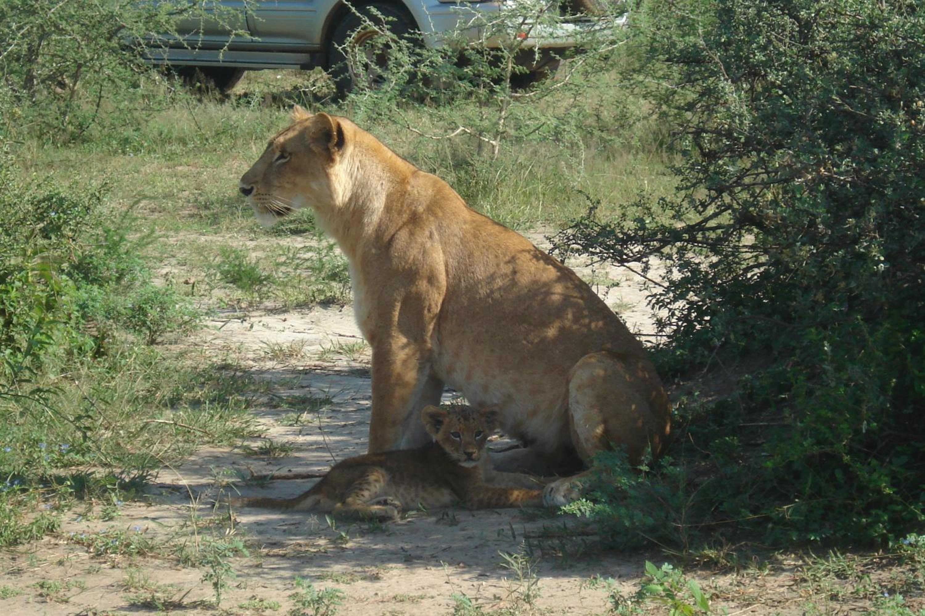 Sambiya River Lodge 28
