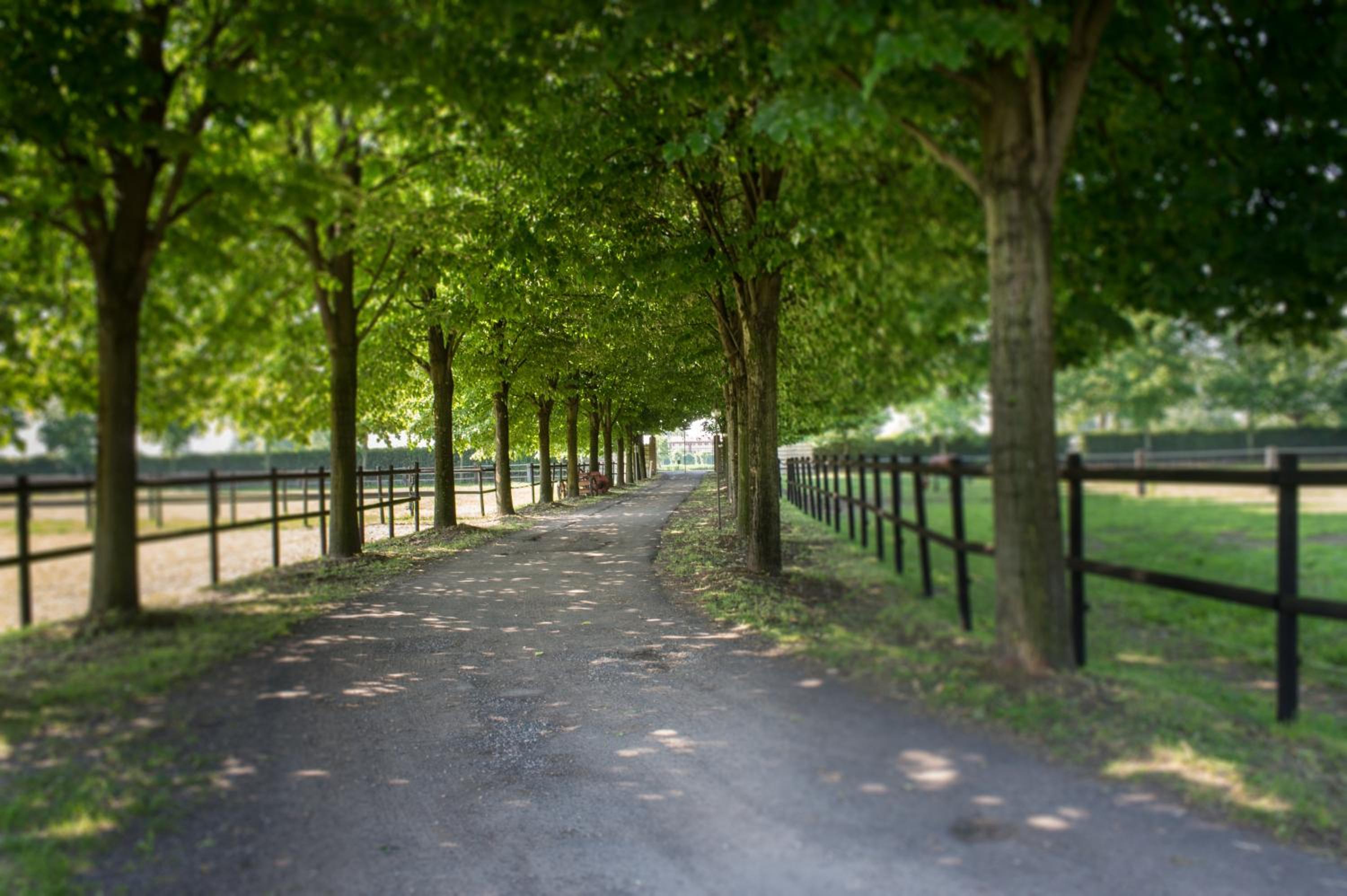 San Giacomo Horses & Agriturismo