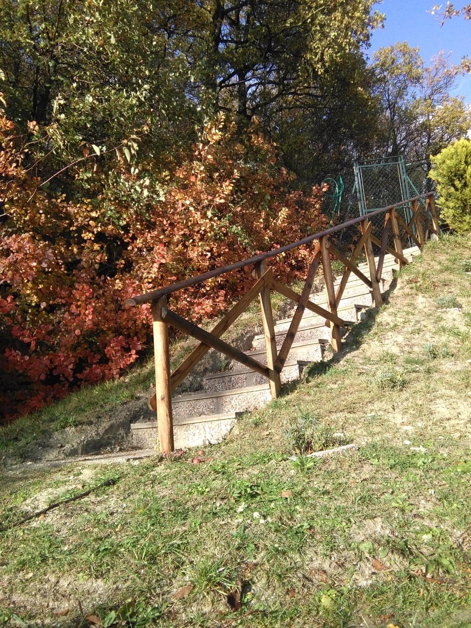 Calmancino delle Selve