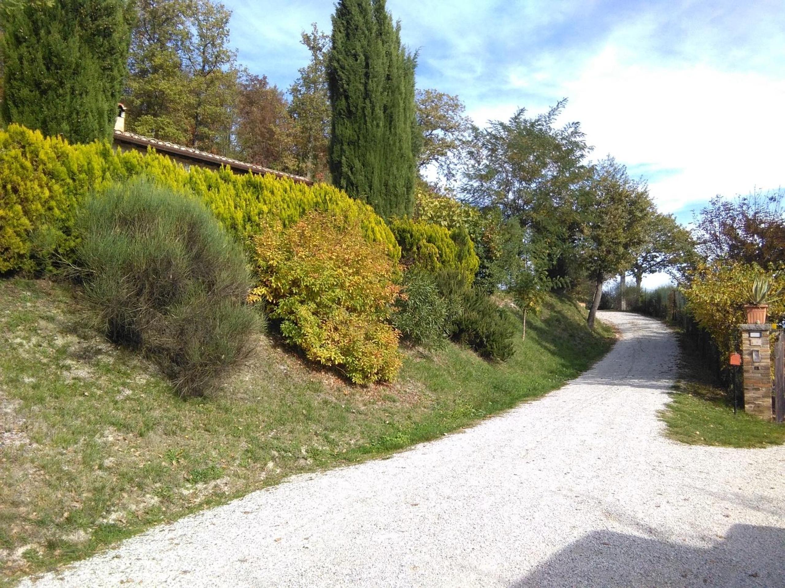 Calmancino delle Selve