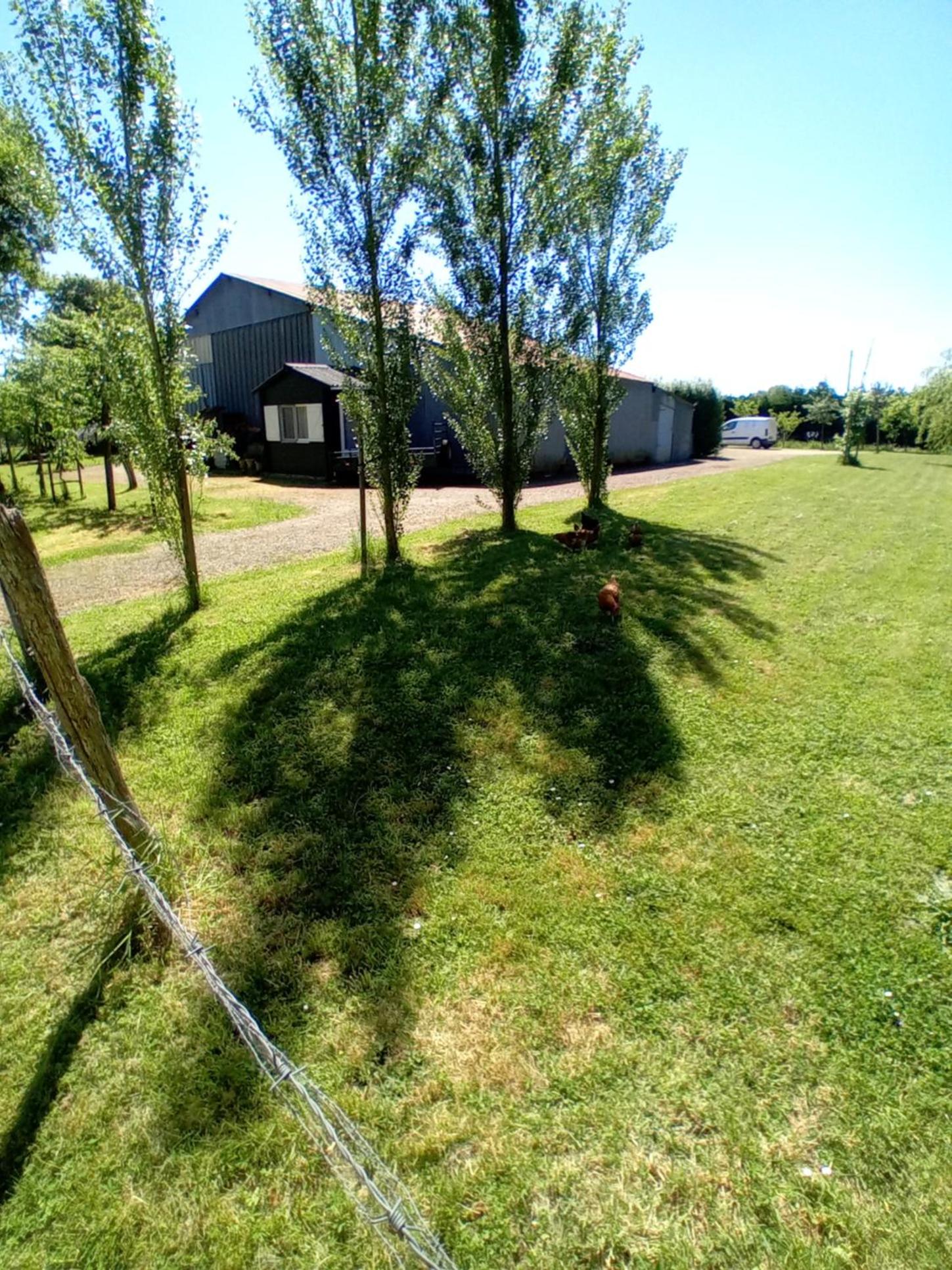 Auberge BonBeauJoli, photo 34