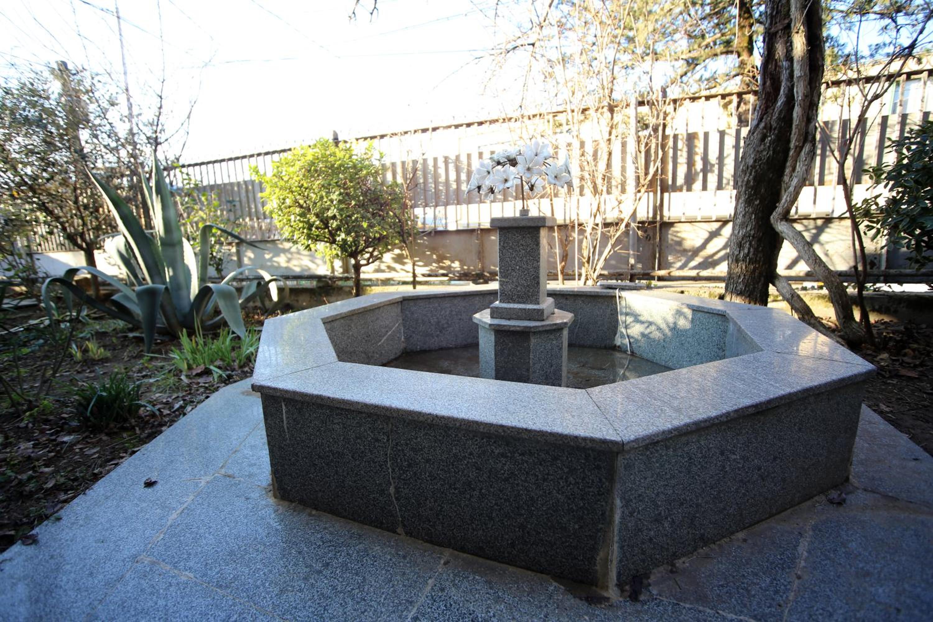 Photo 16