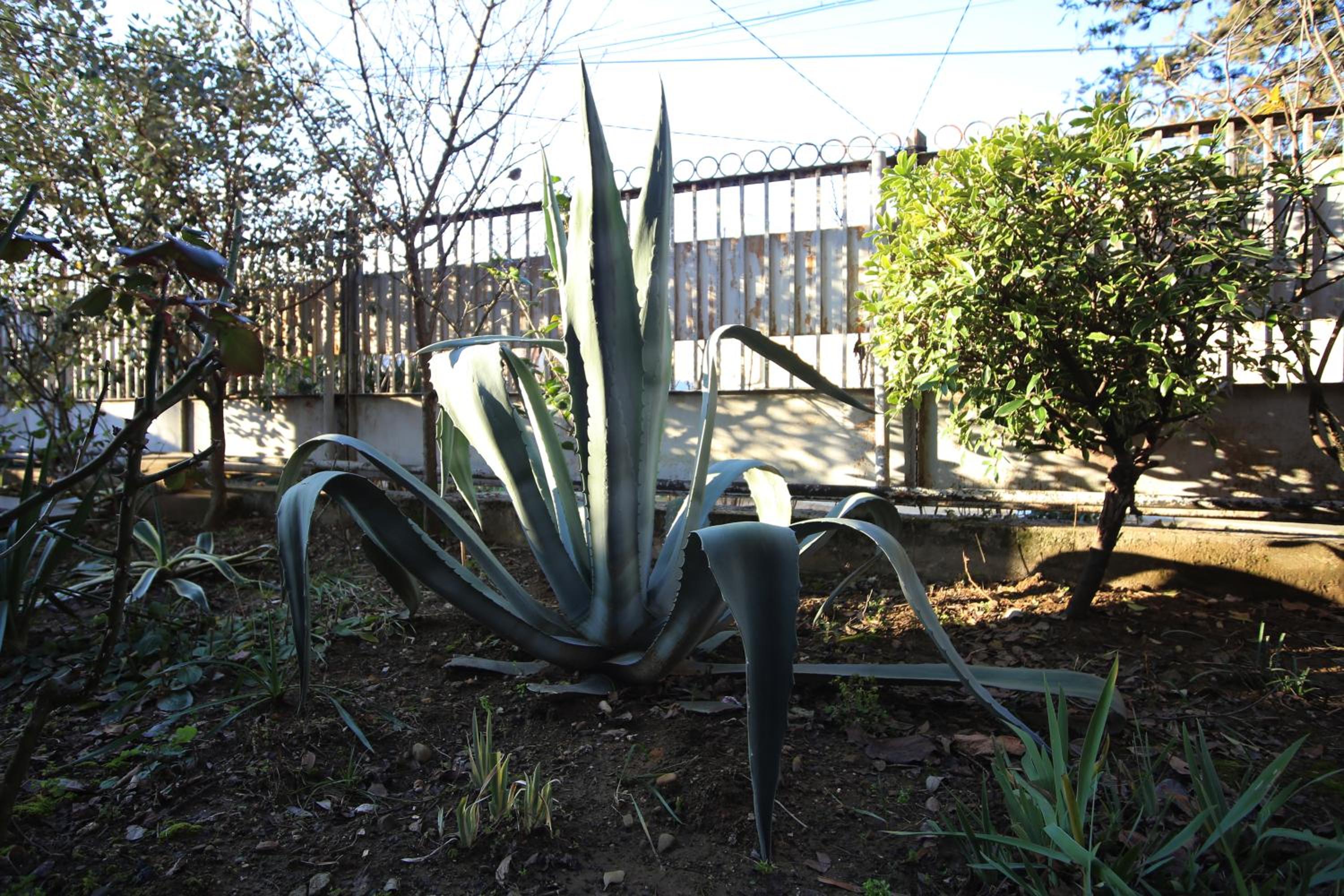 Photo 15