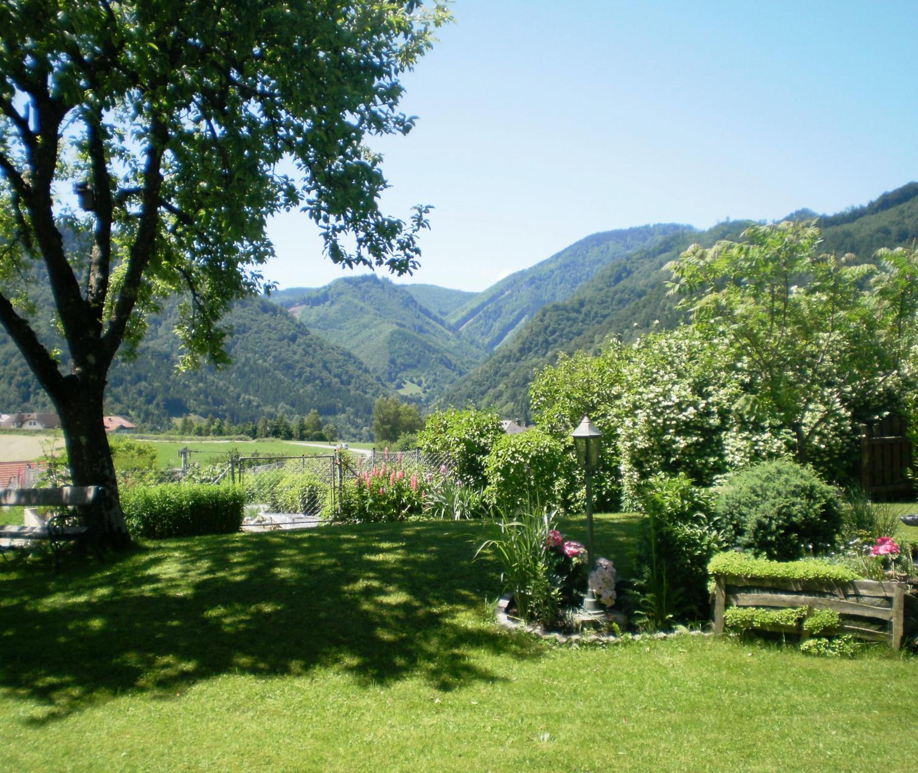 Photo 30