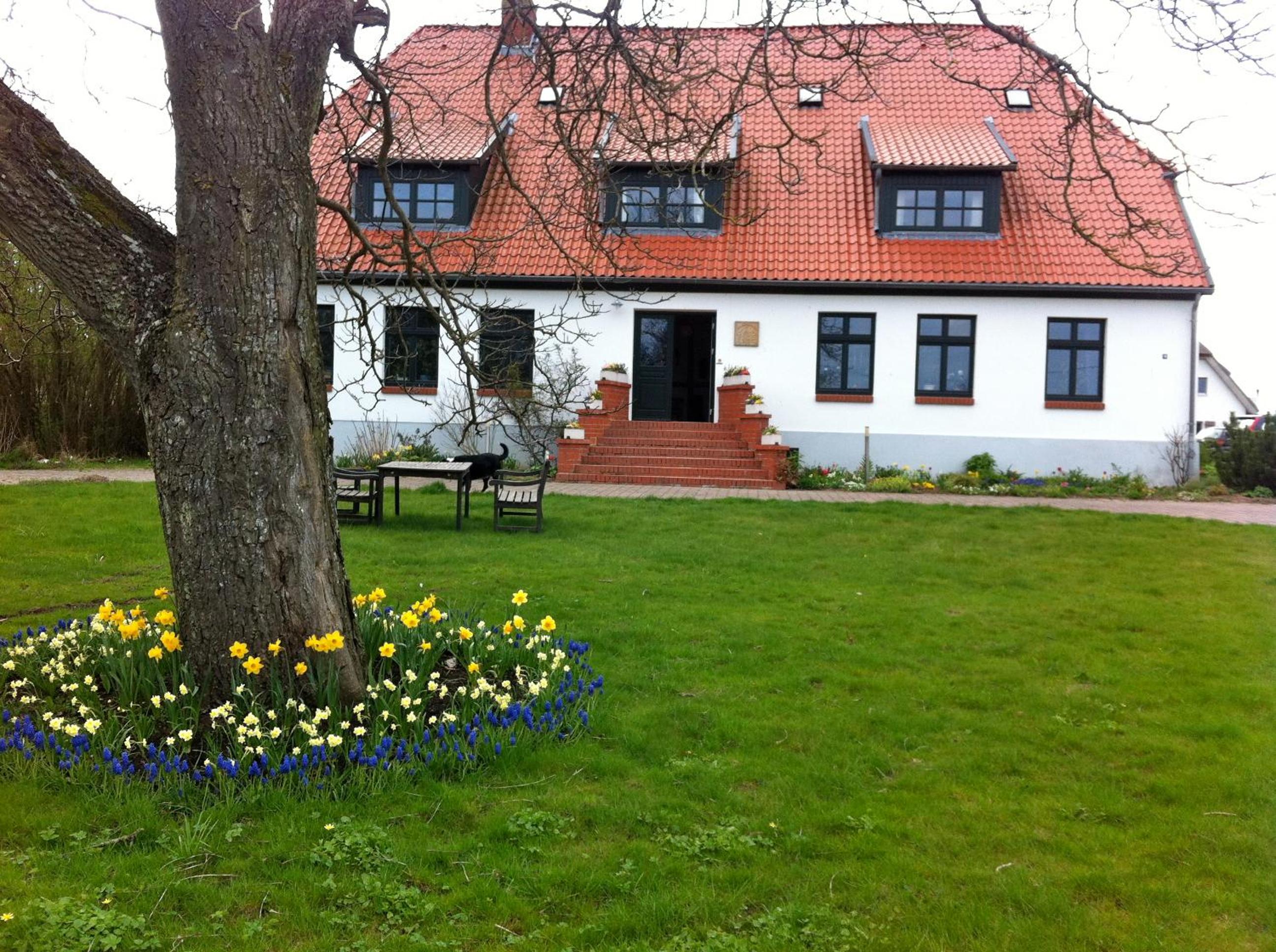 Photo 45