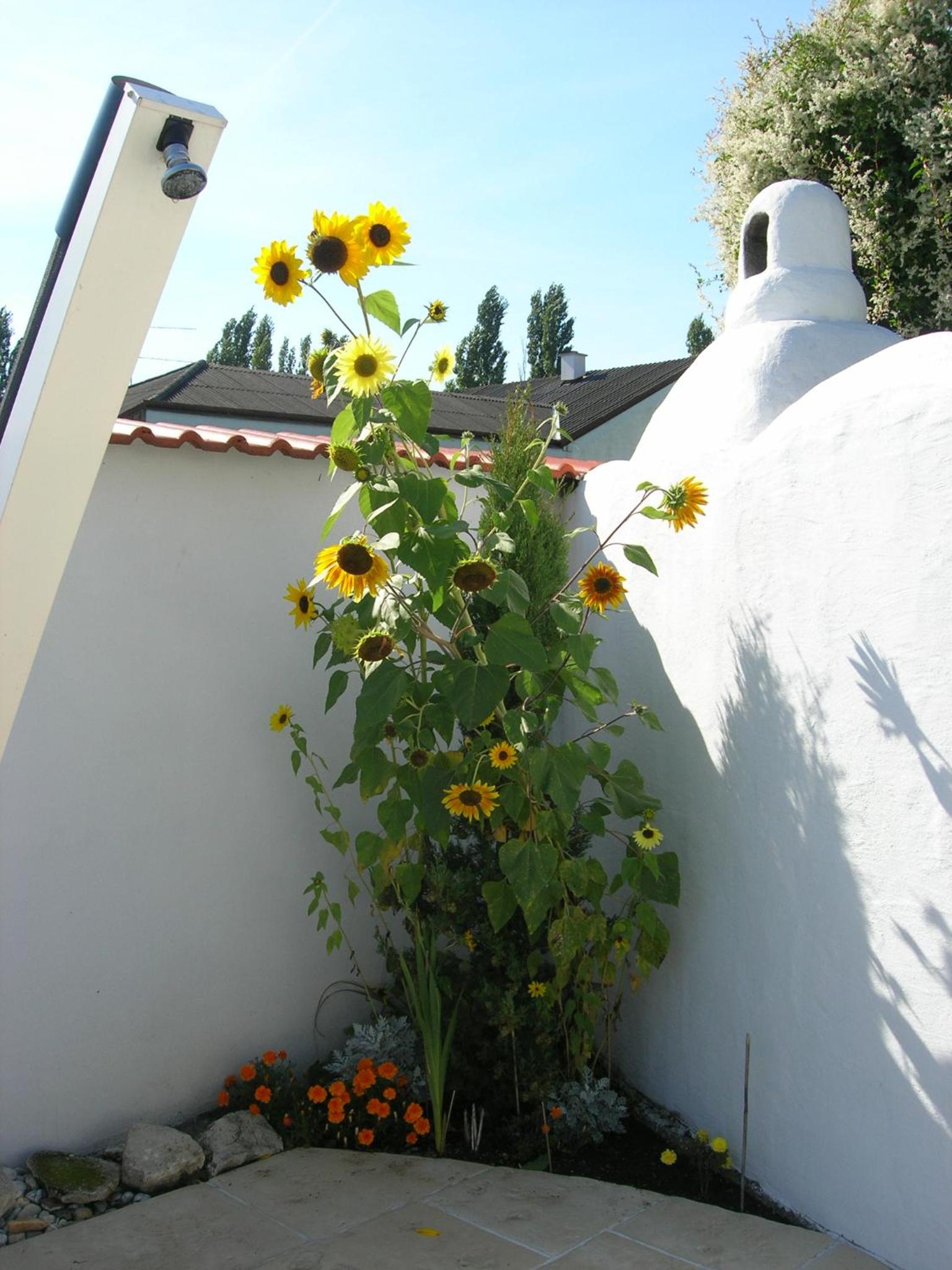 Photo 56