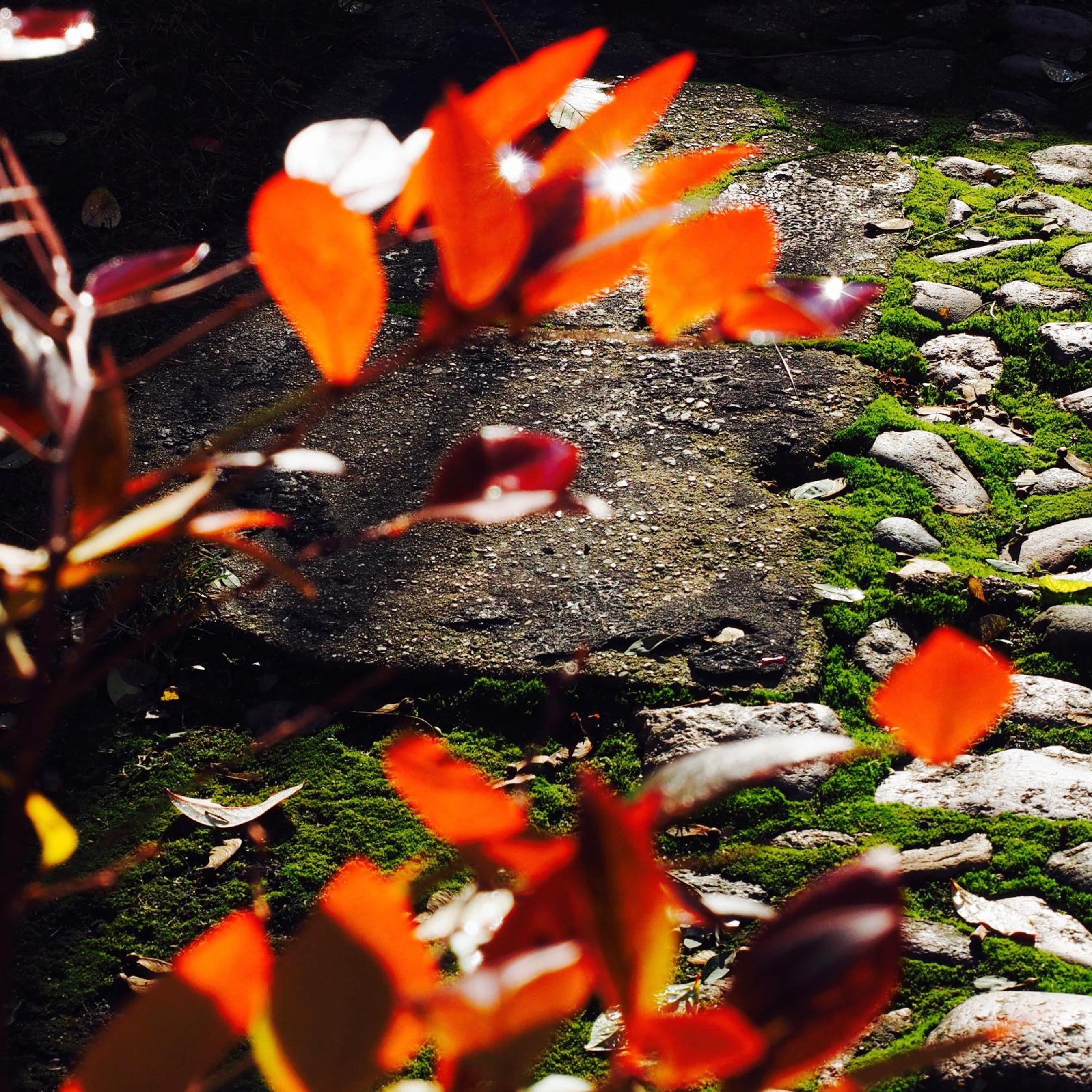 Photo 46