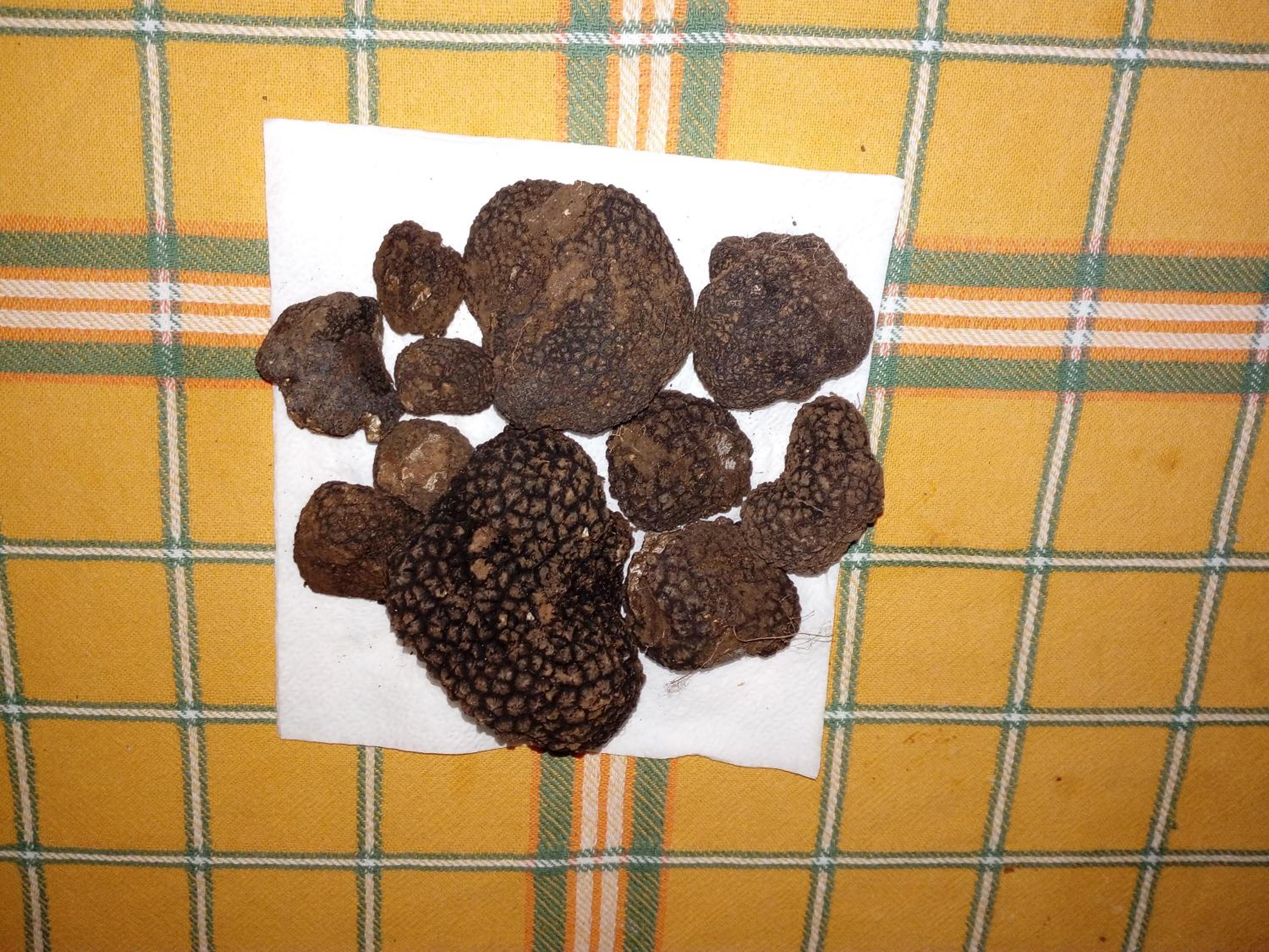 Photo 18