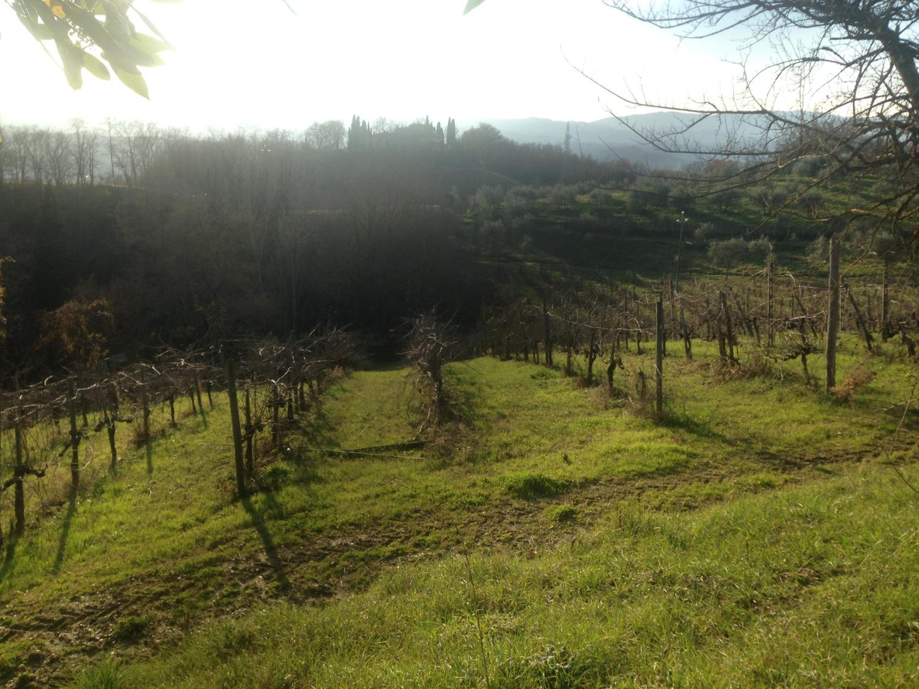 Podere San Lorenzo